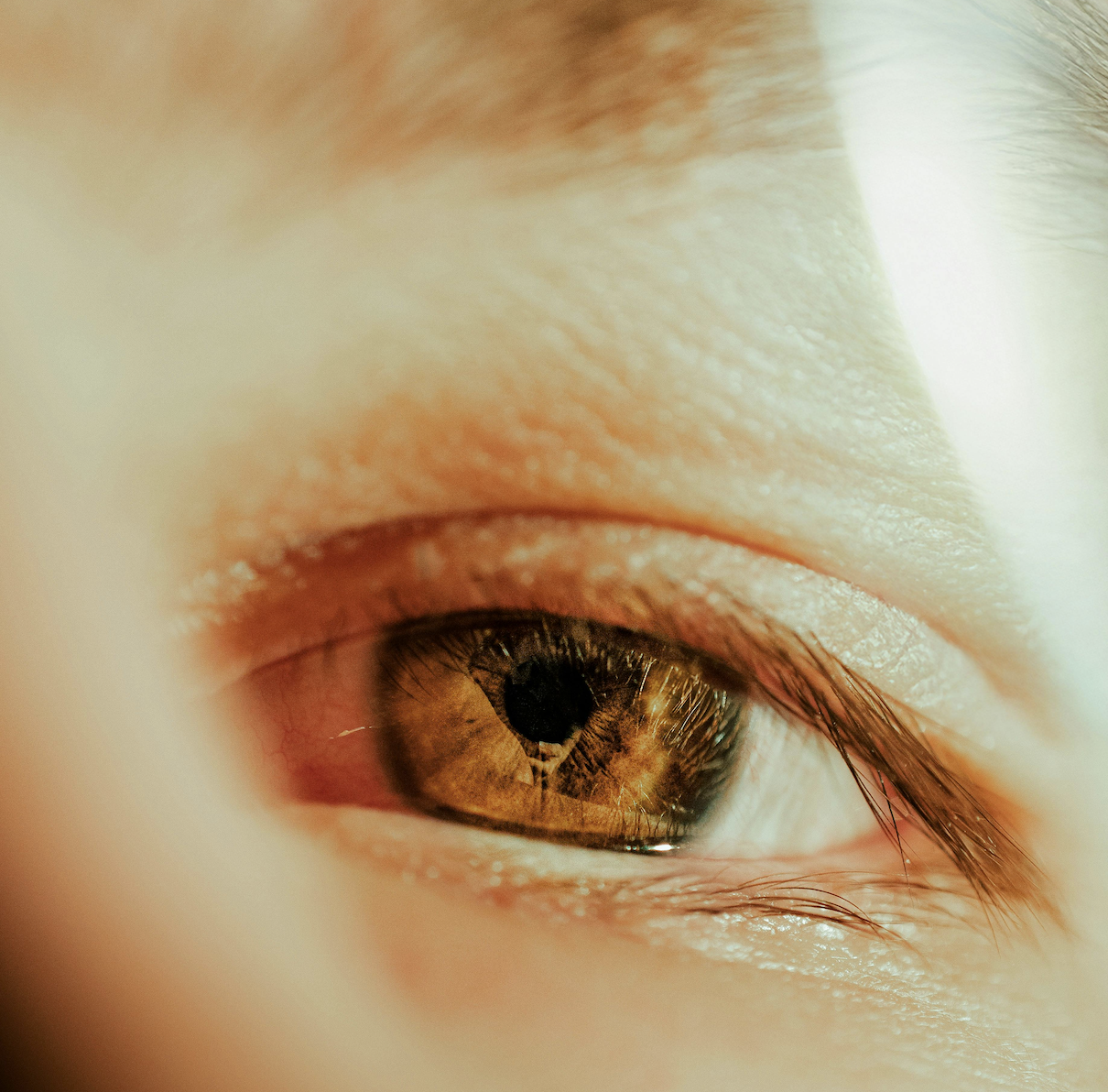 Being Human - Feb 2026