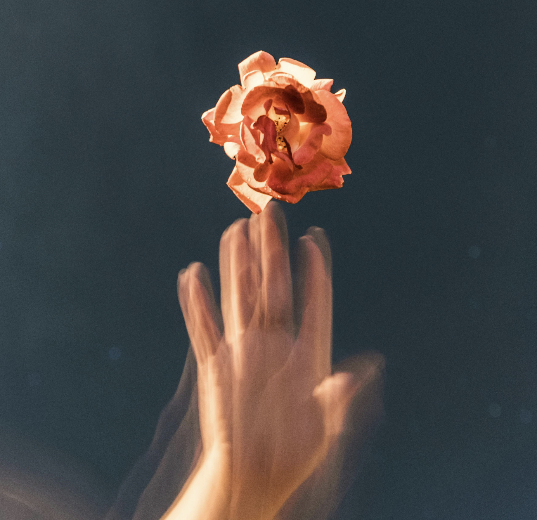 Love Action - March 2026