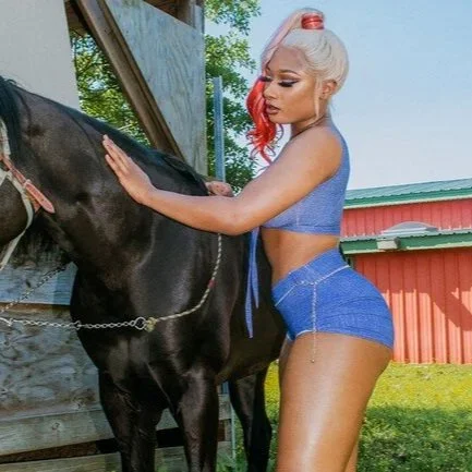 THANK YOU MEGAN THEE STALLION