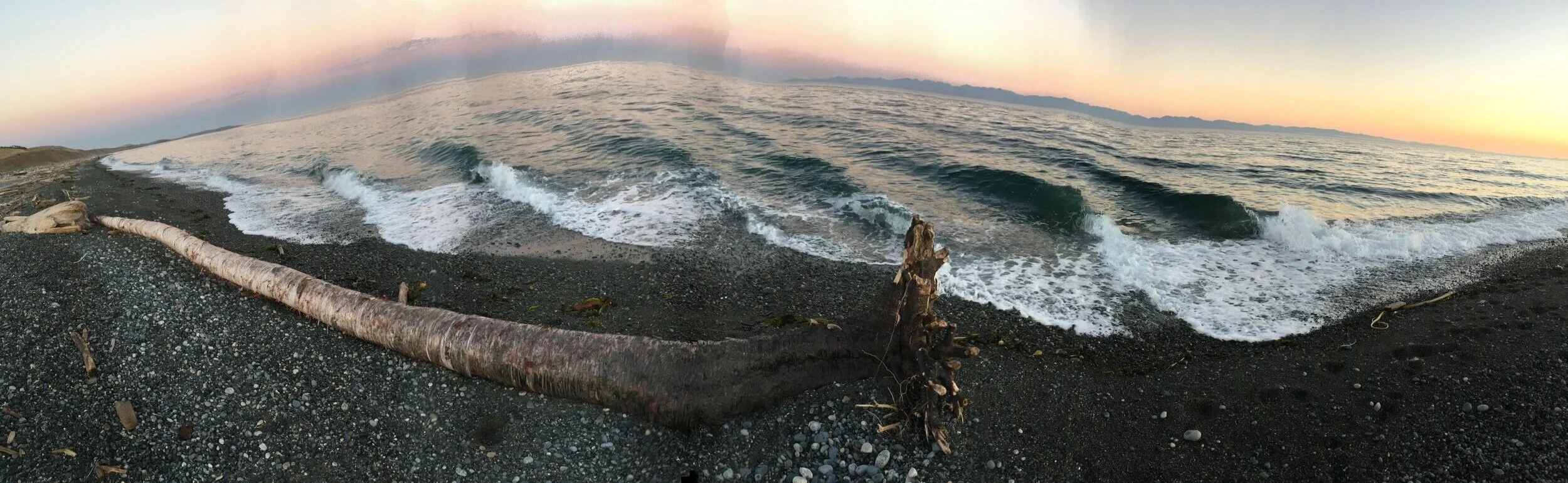 Shannon-Borg-Salish-Sea-Panorama.jpeg