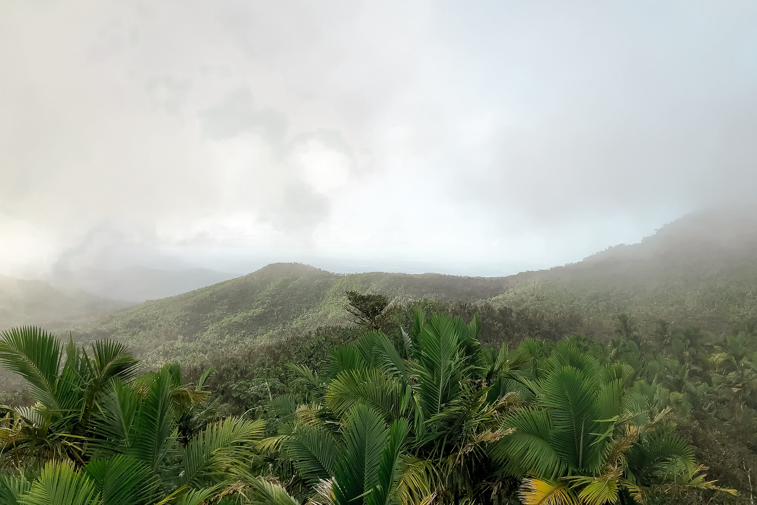 El Yunque 2.jpg