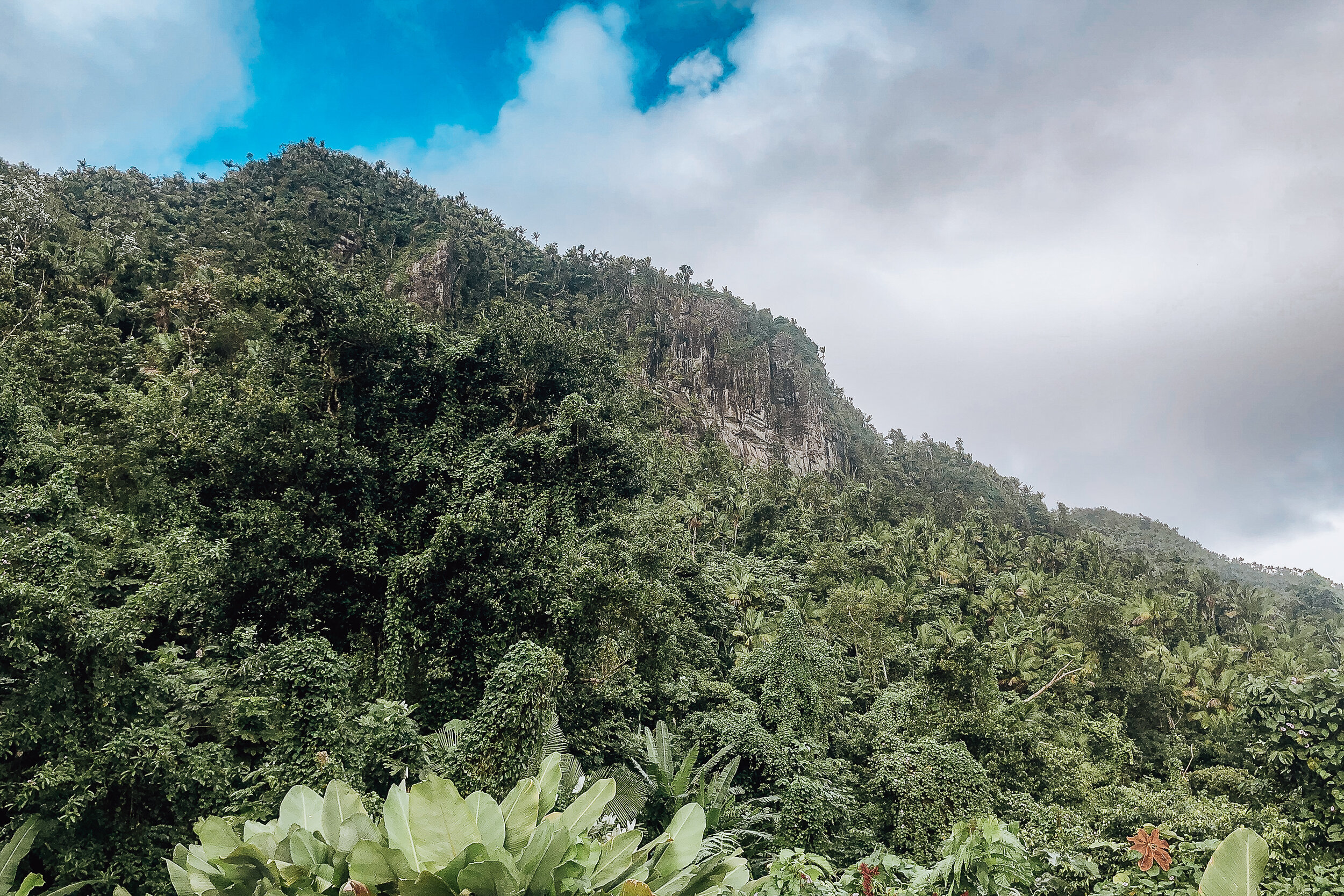 El Yunque 1.jpg