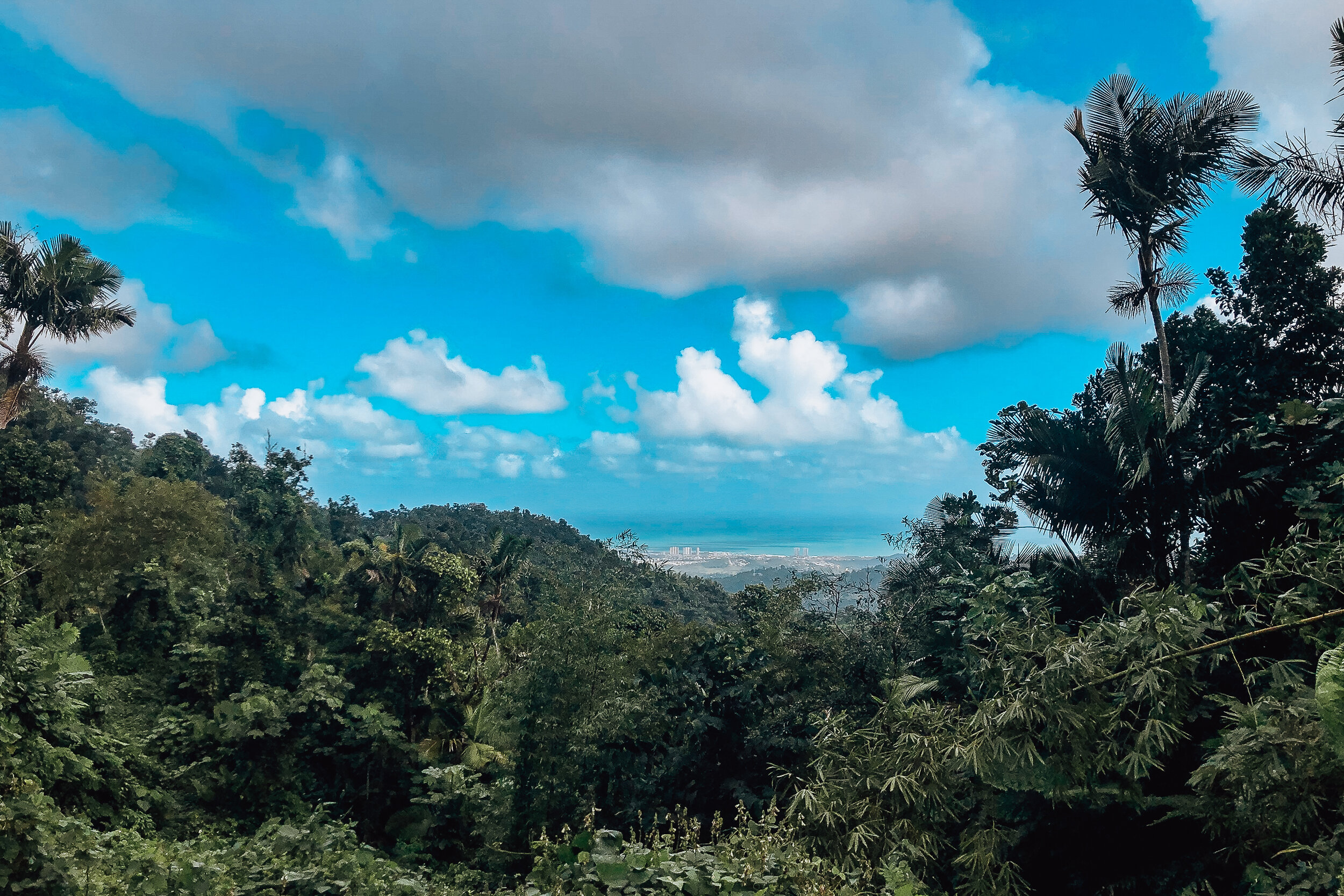 El Yunque 4.jpg