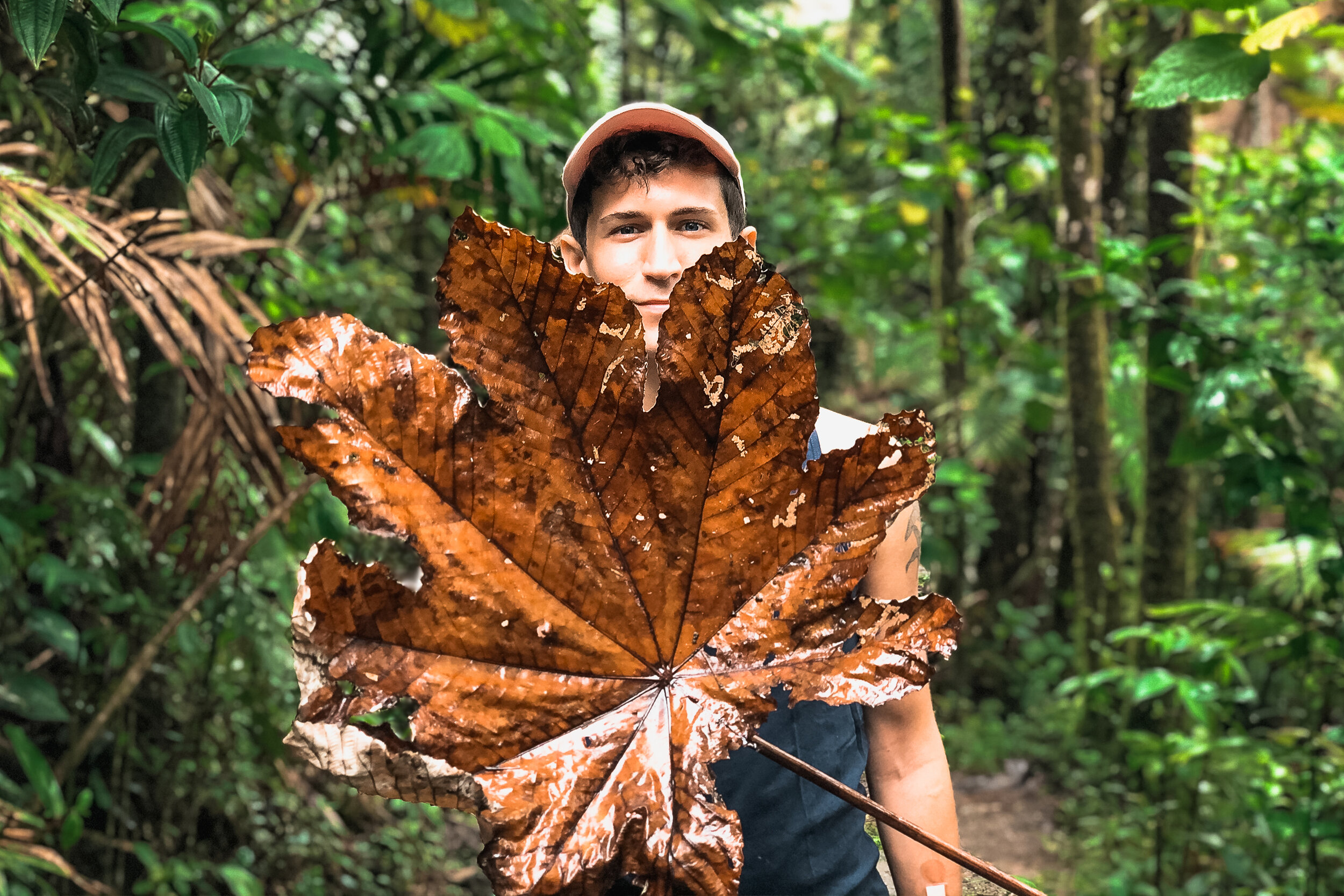 El Yunque 5.jpg