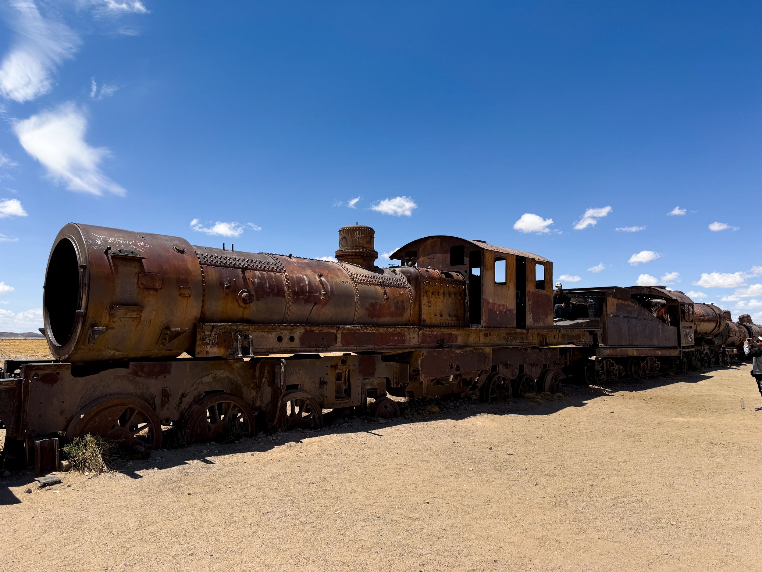 Train_Graveyard_05.jpg