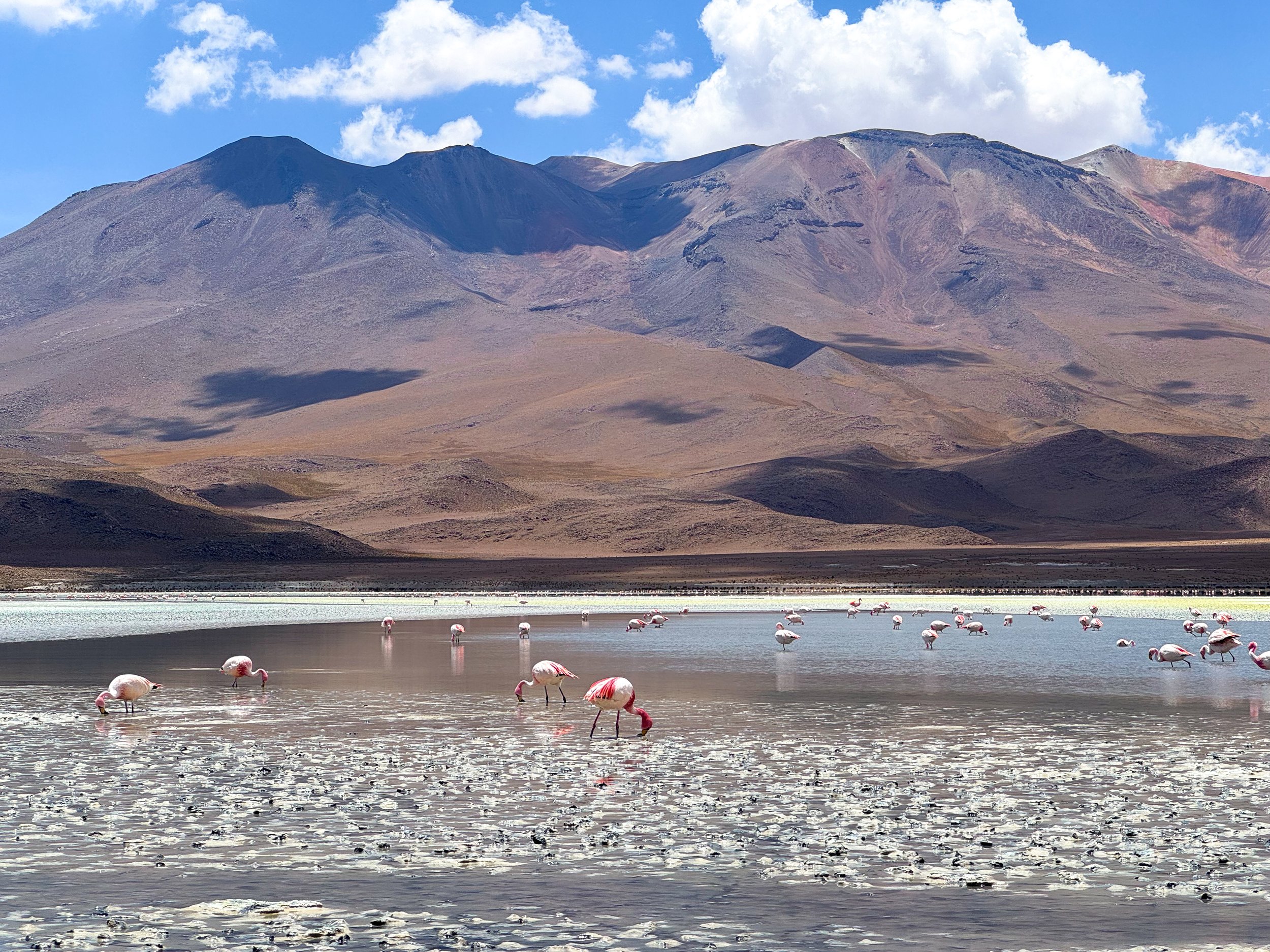 Lagoons_02.jpg