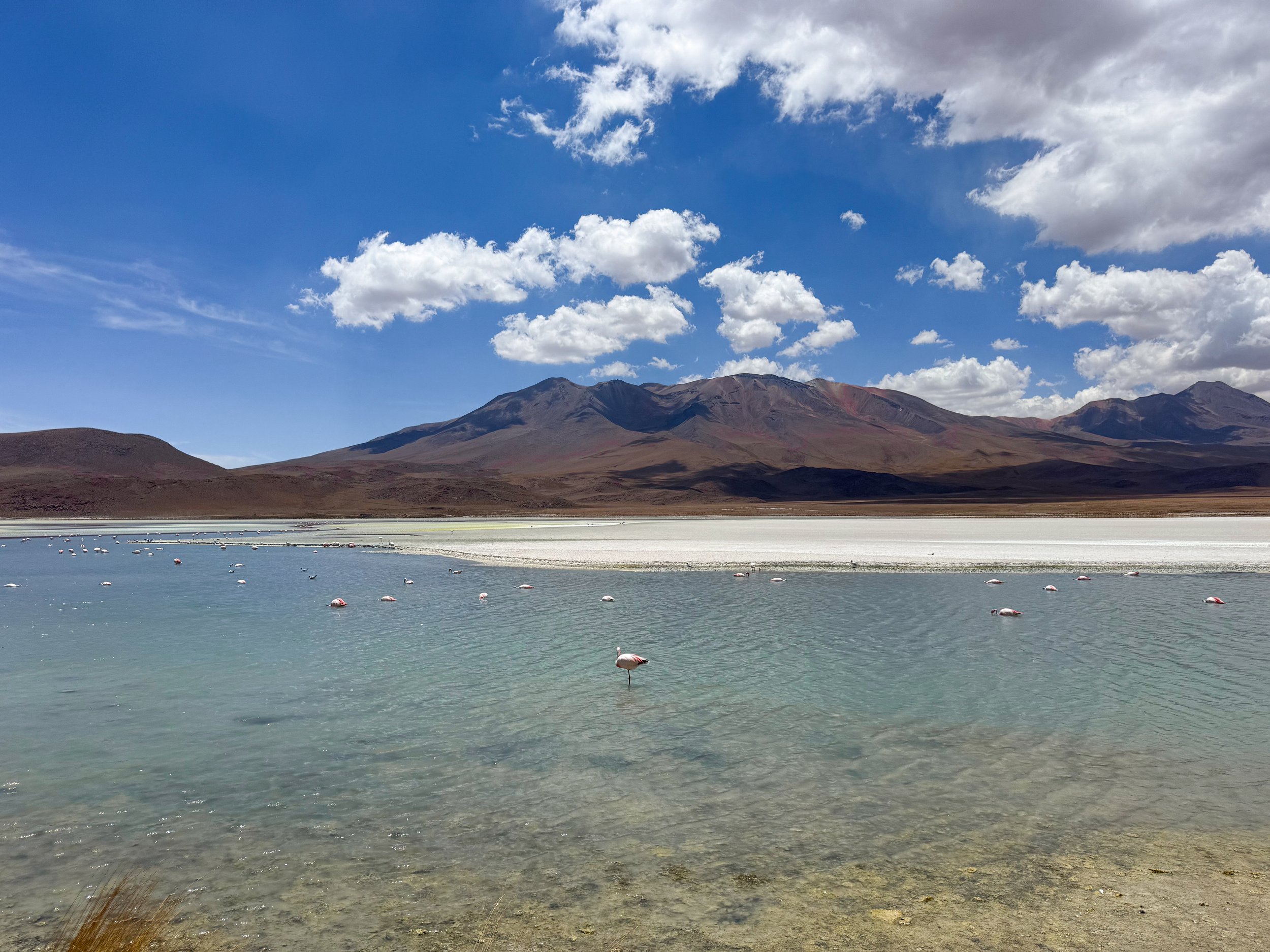 Lagoons_01.jpg