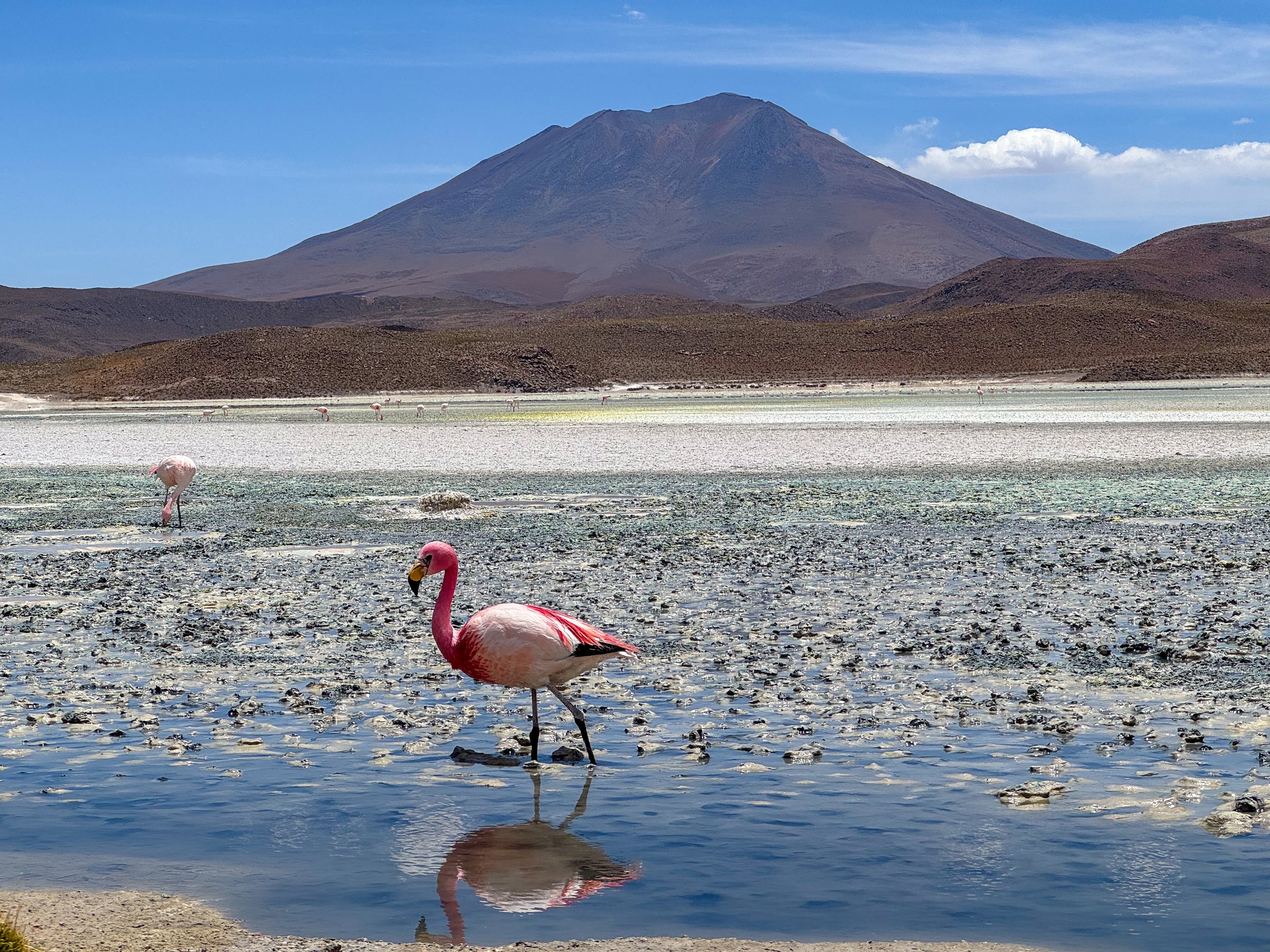 Lagoons_03.jpg