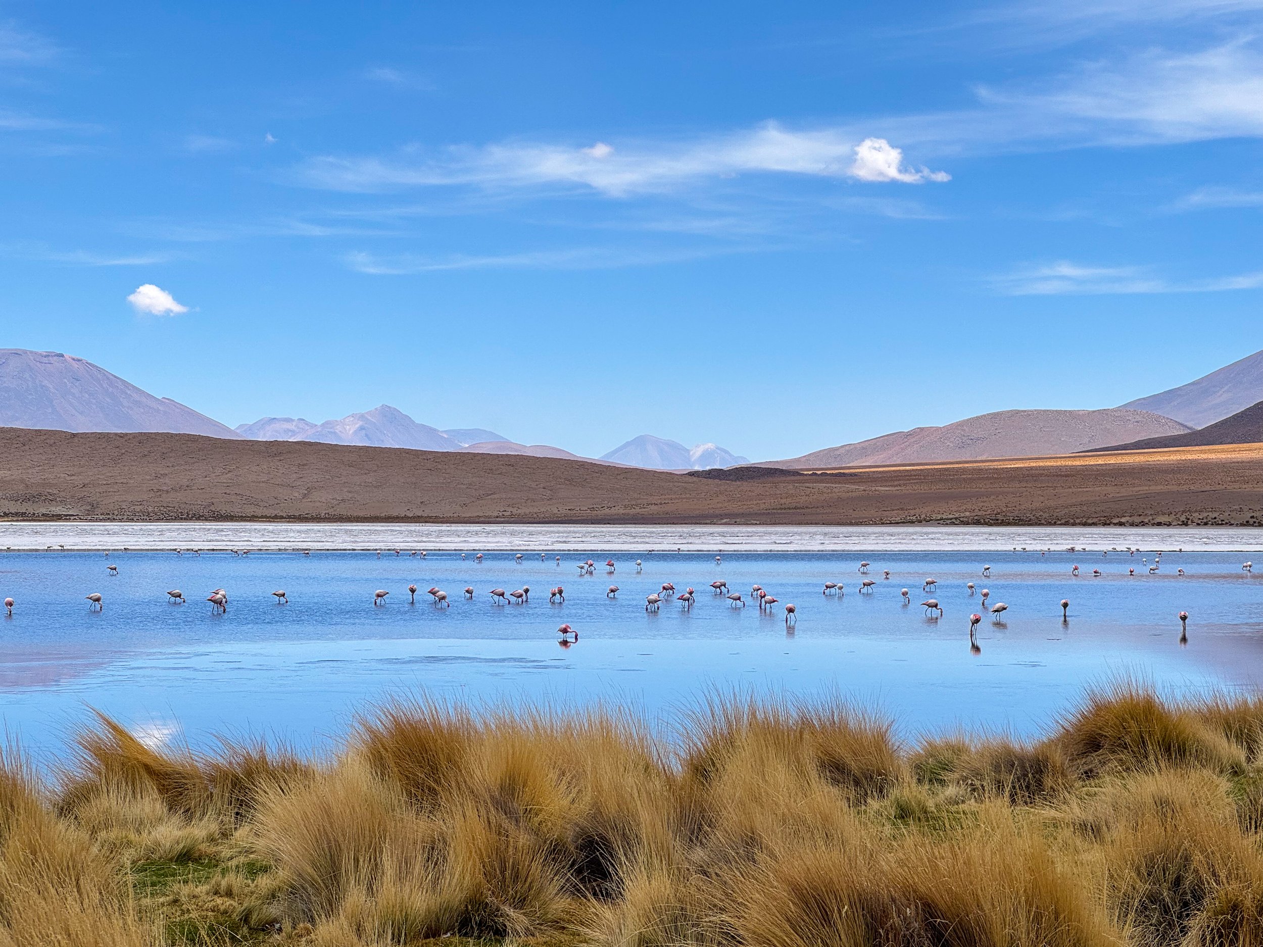 Lagoons_07.jpg