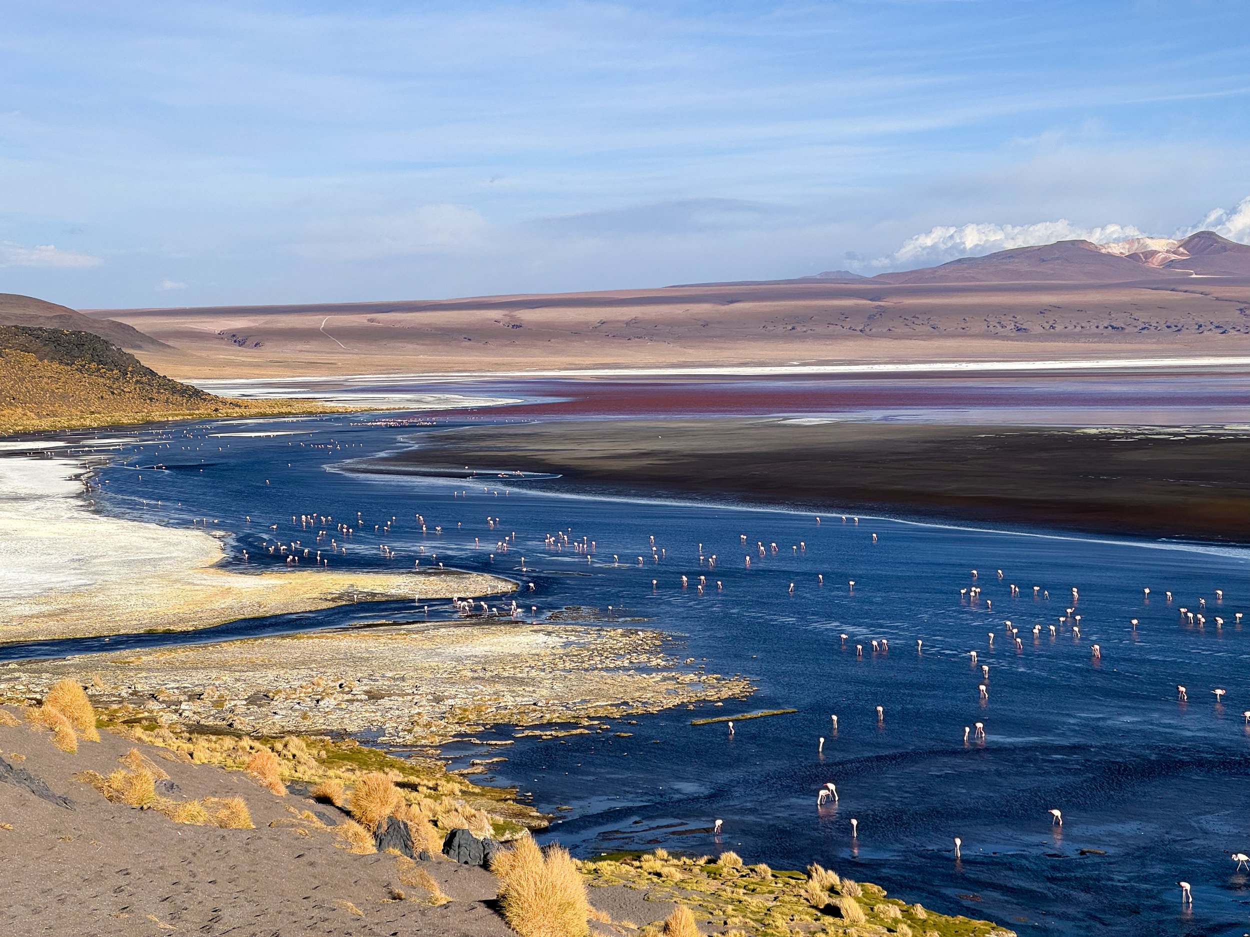 Laguna_Colorada_03.jpg