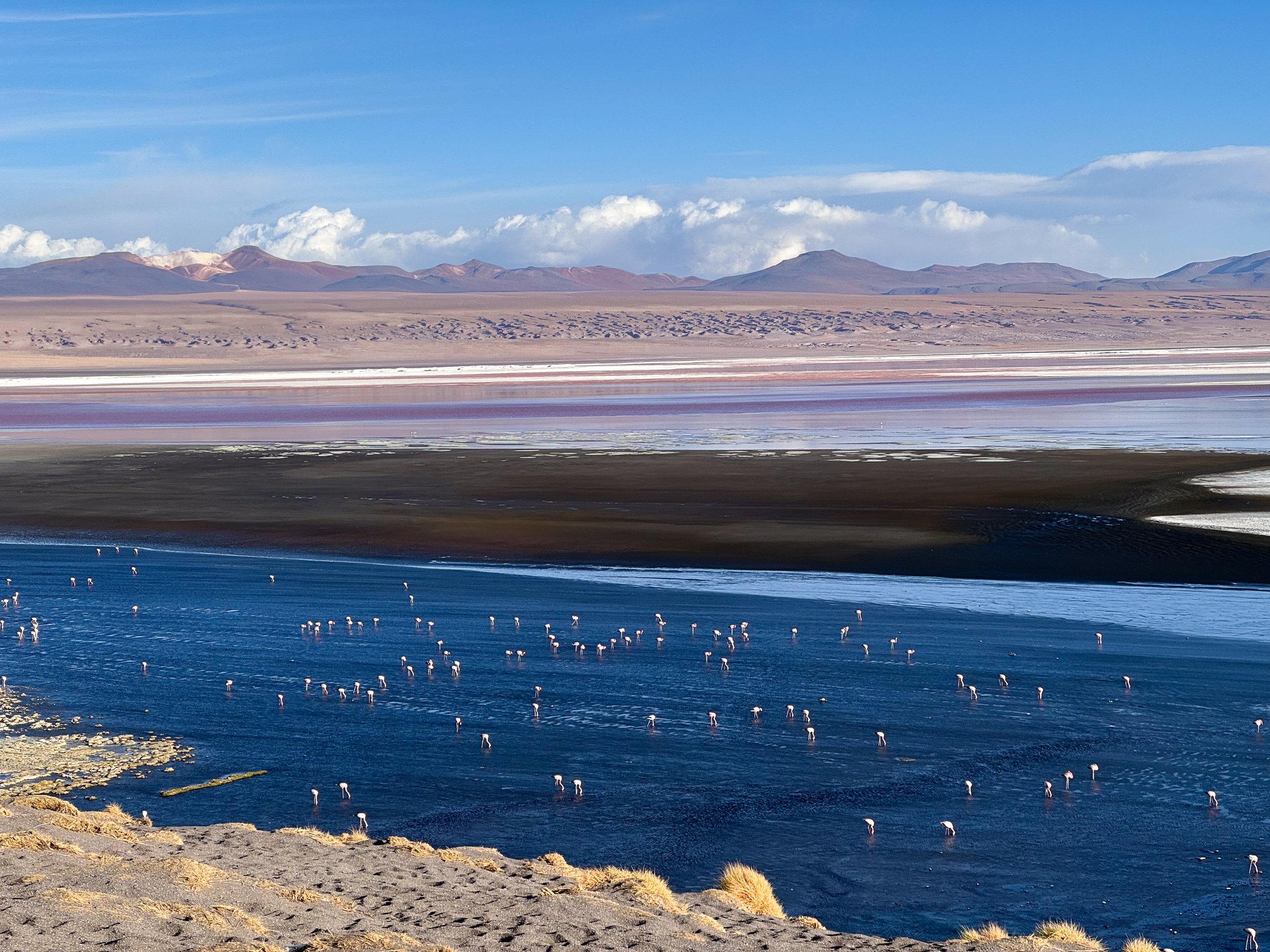 Laguna_Colorada_04.jpg