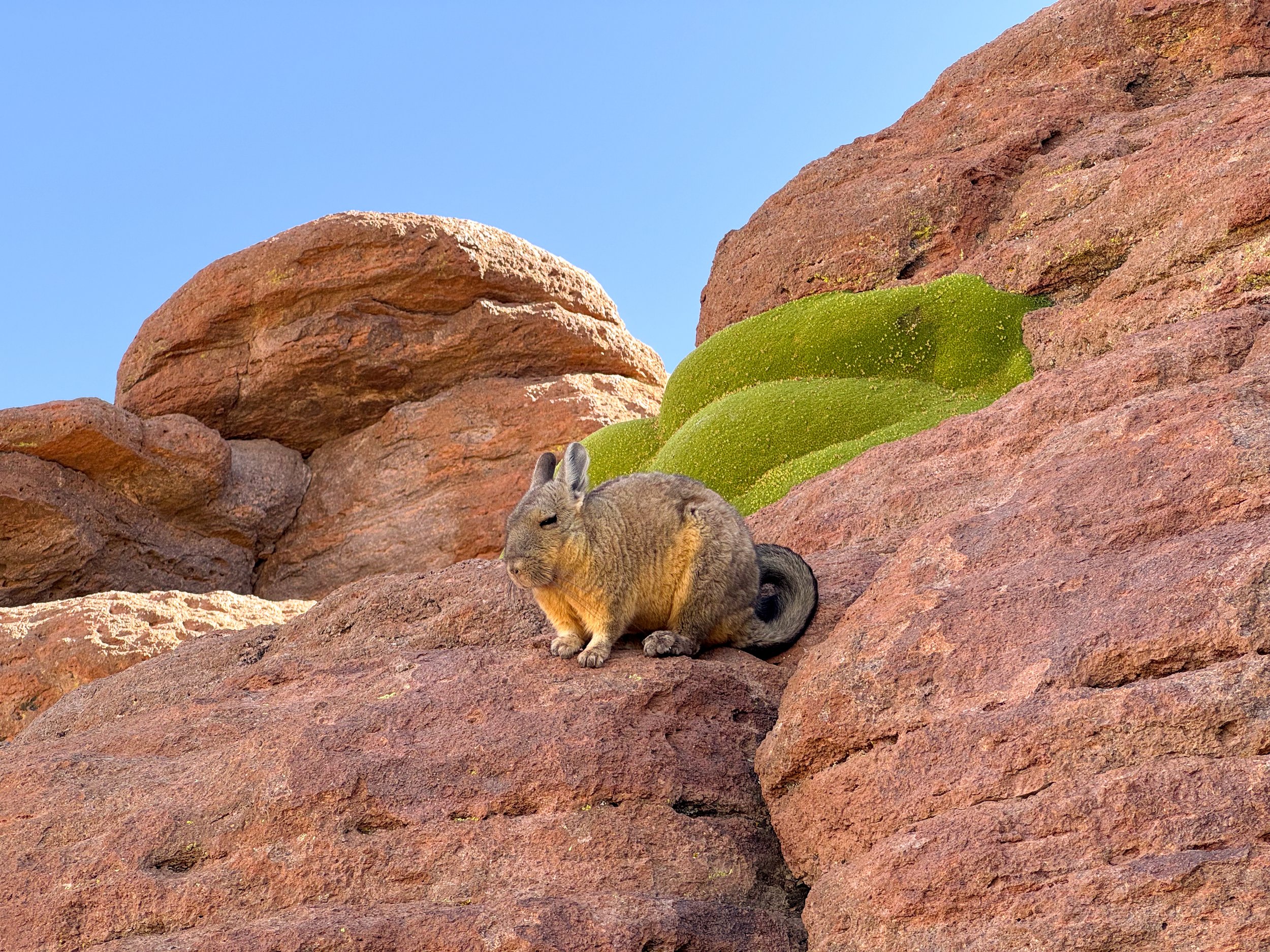 Rock_Formations_01.jpg