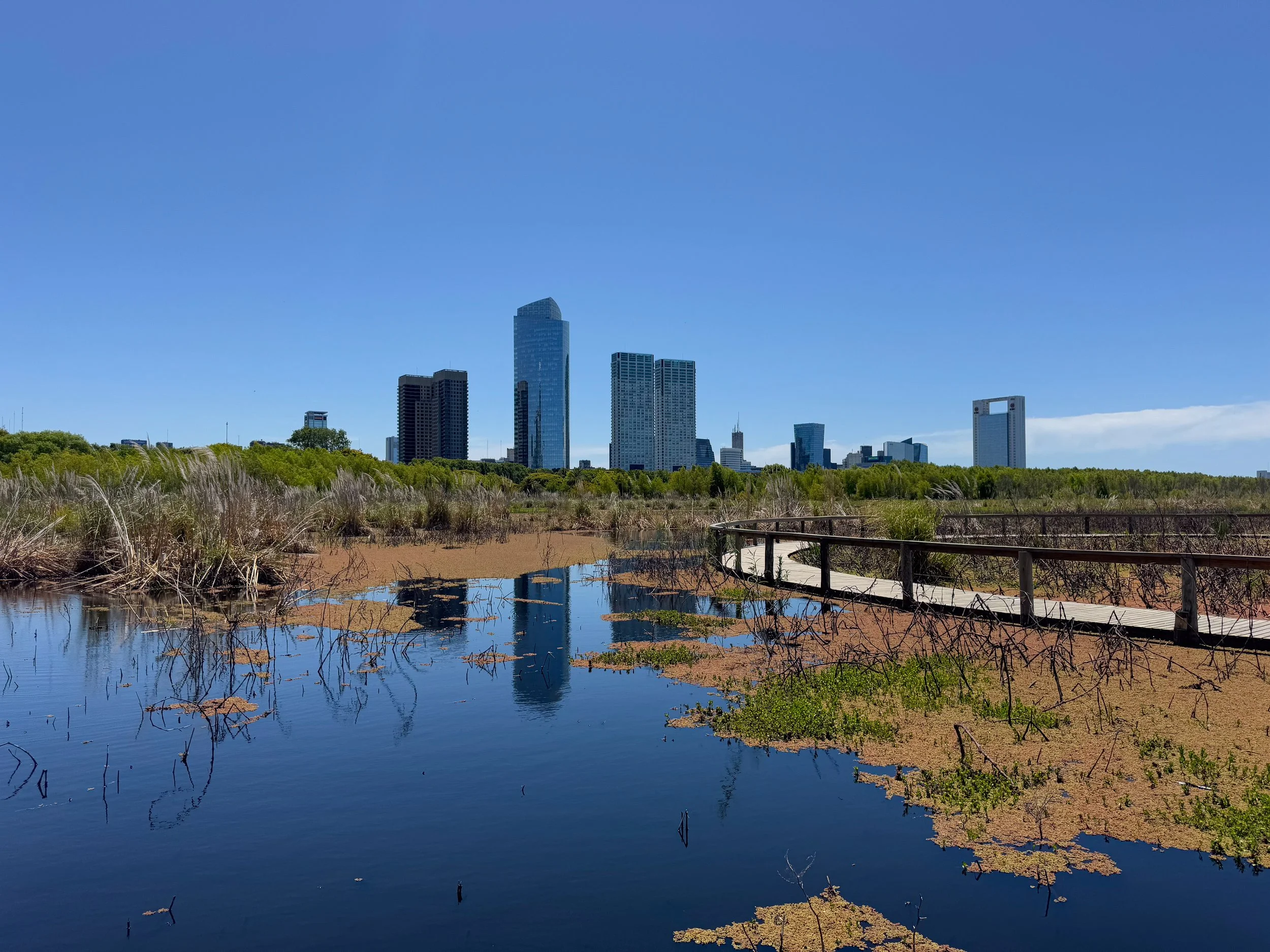 Buenos_Aires_Ecological_Reserve.jpg