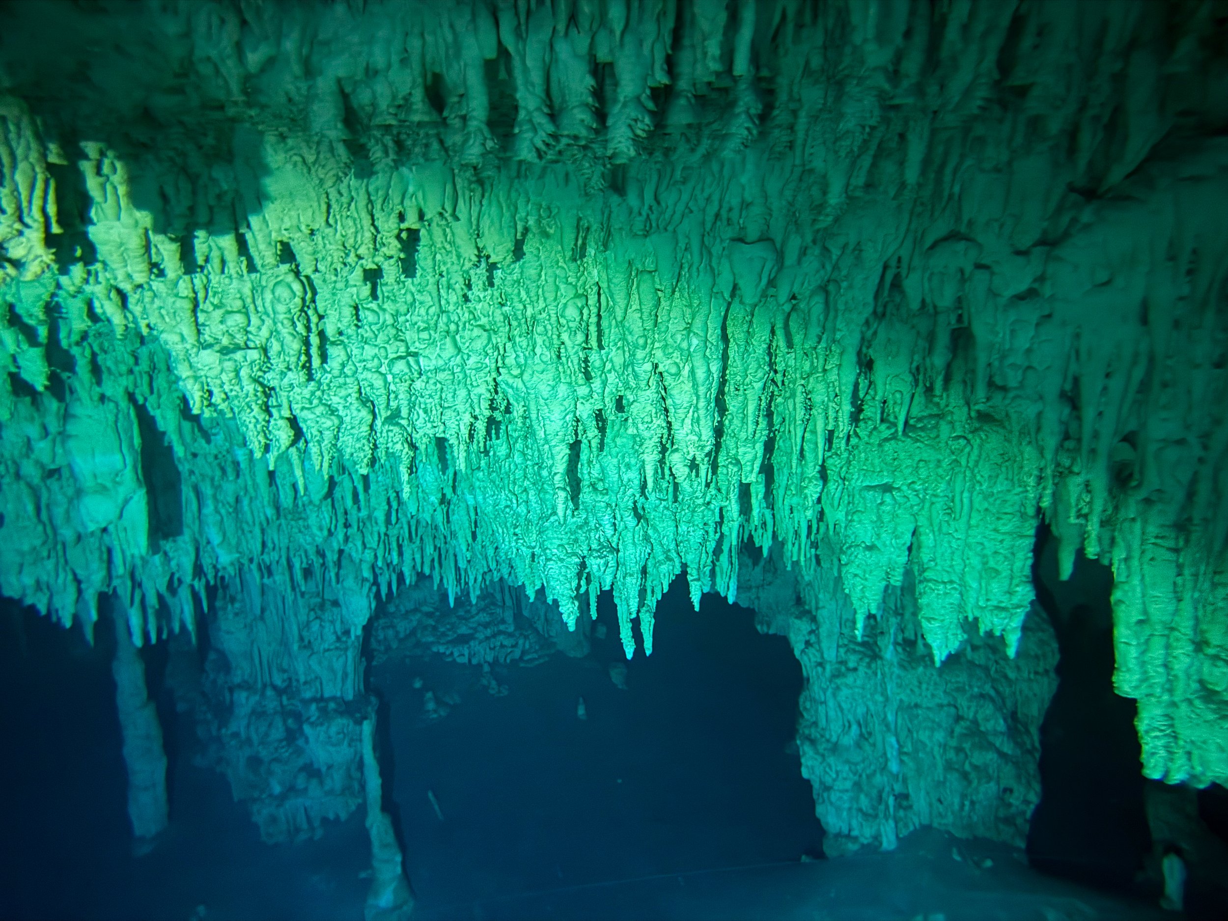 Cenote_ Sac_Actun_04.jpg
