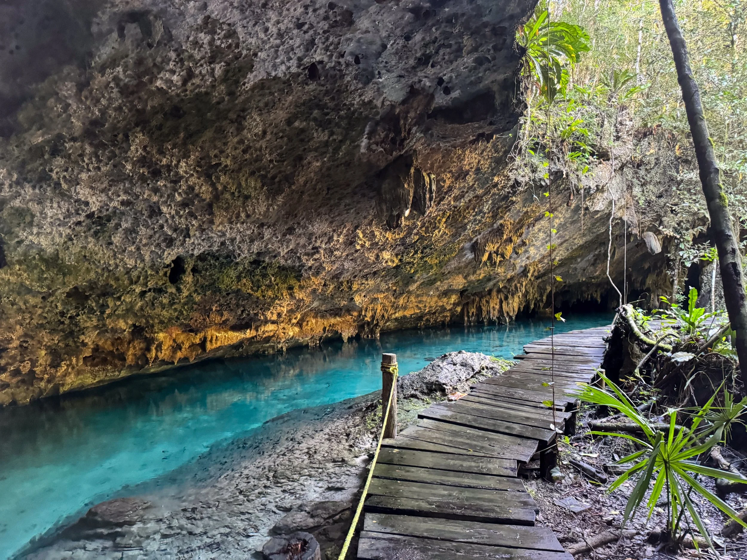 Cenote_ Sac_Actun_06.jpg