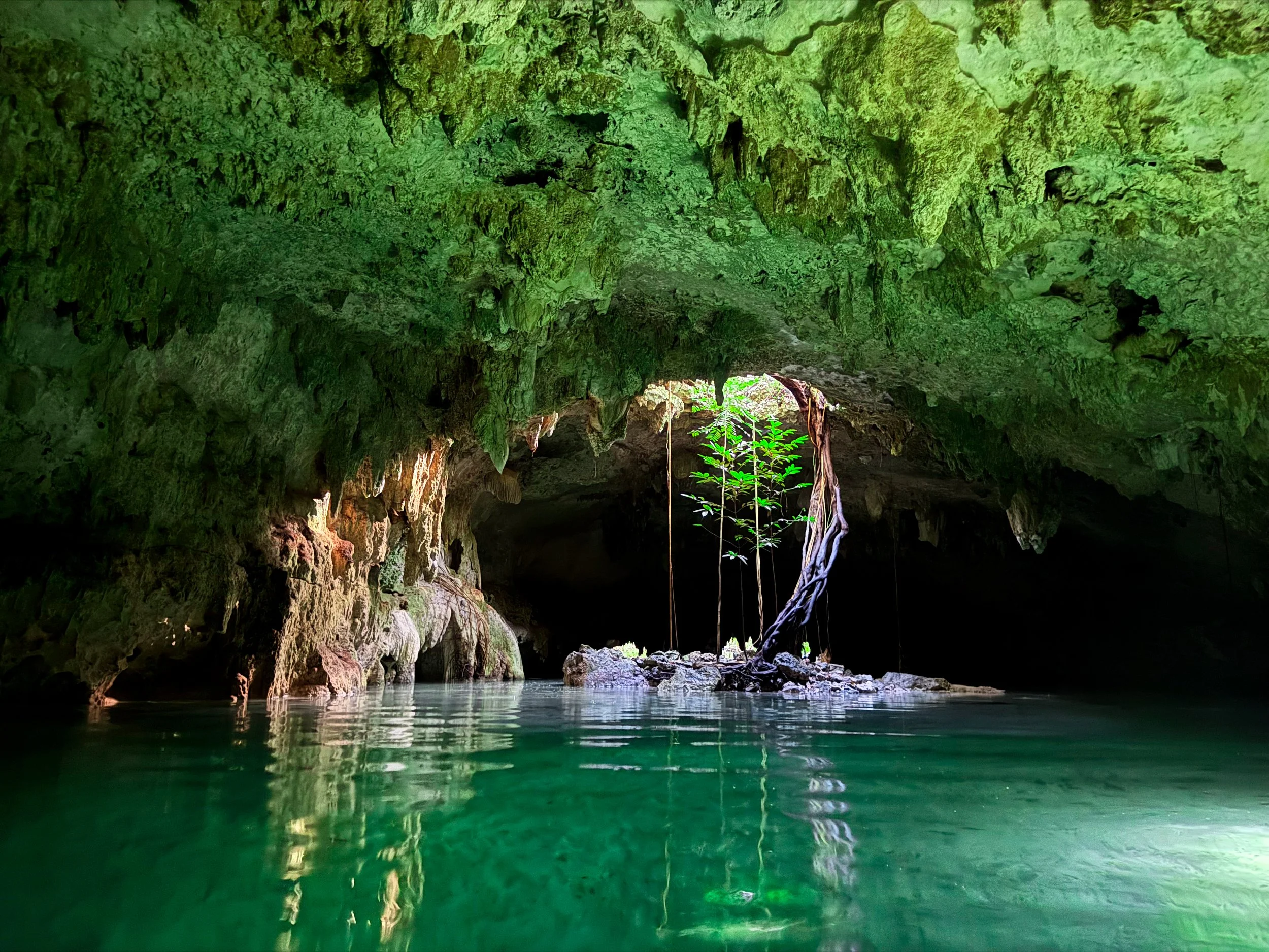 Cenote_ Sac_Actun_07.jpg