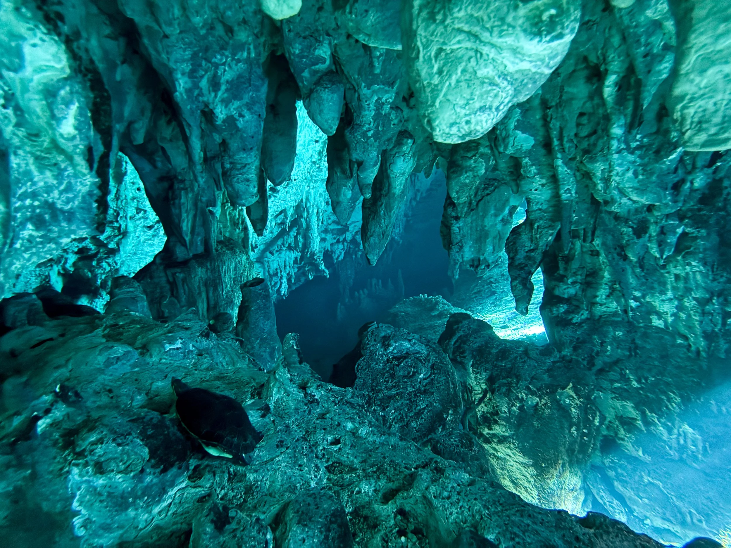 Gran_Cenote_02.jpg