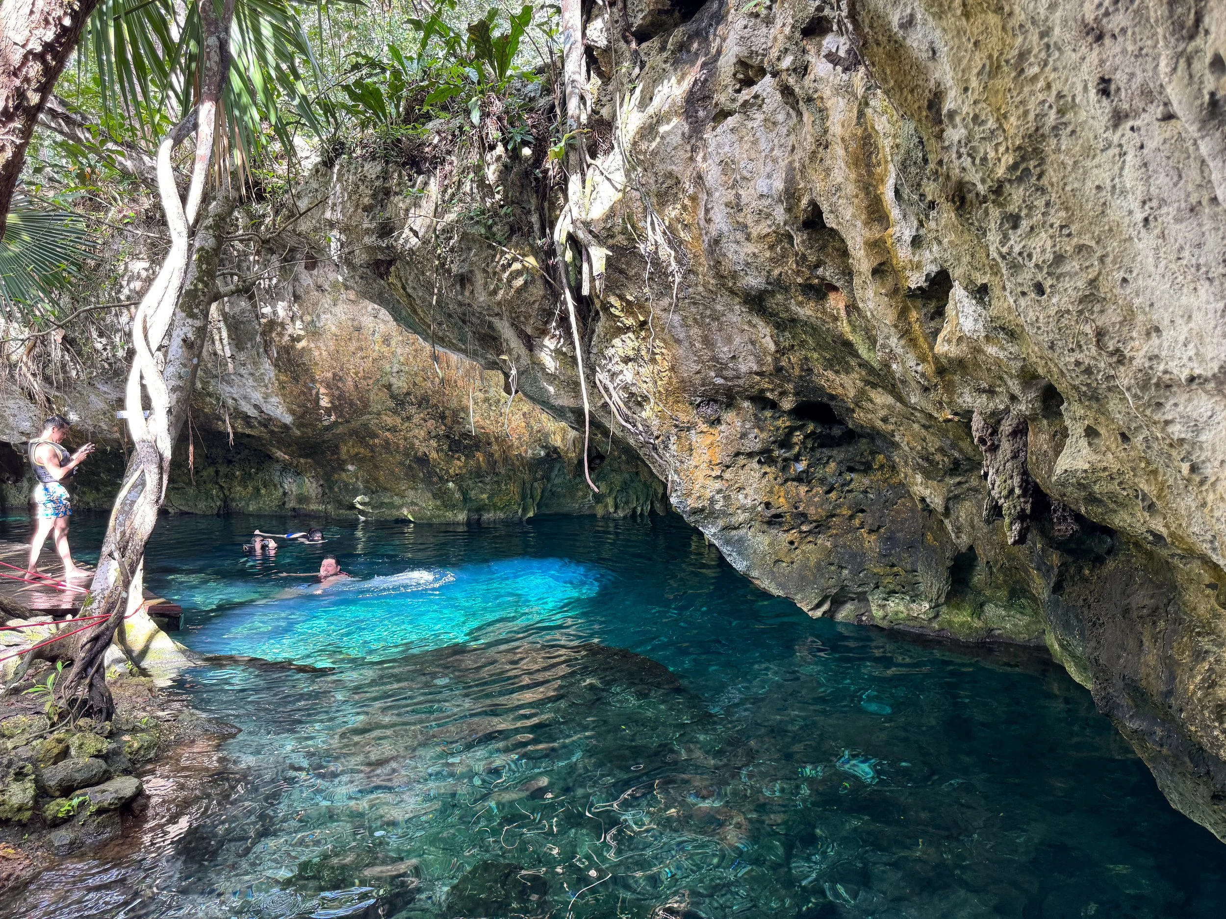 Gran_Cenote_05.jpg