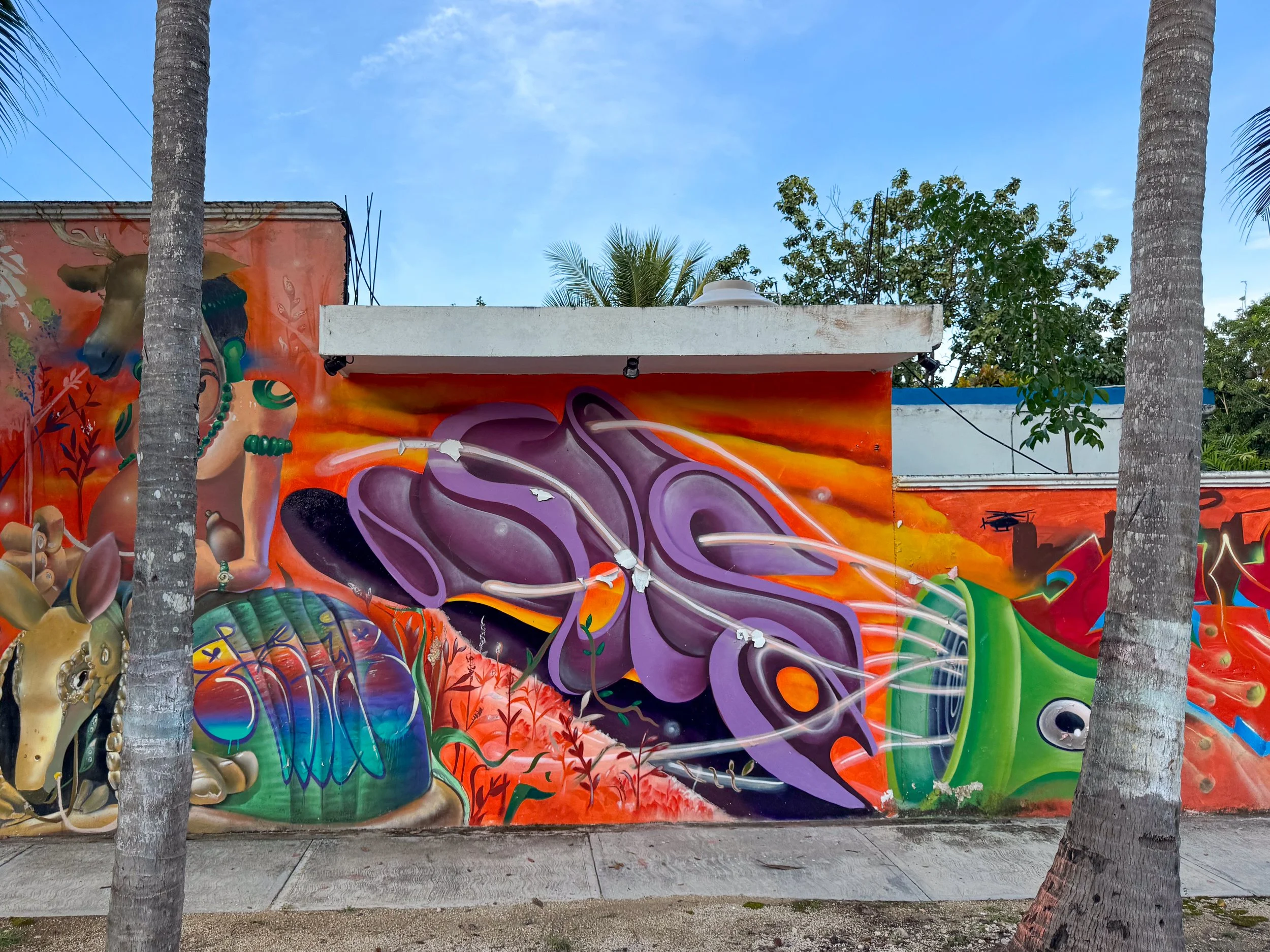 Bacalar_Street_Art_02.jpg