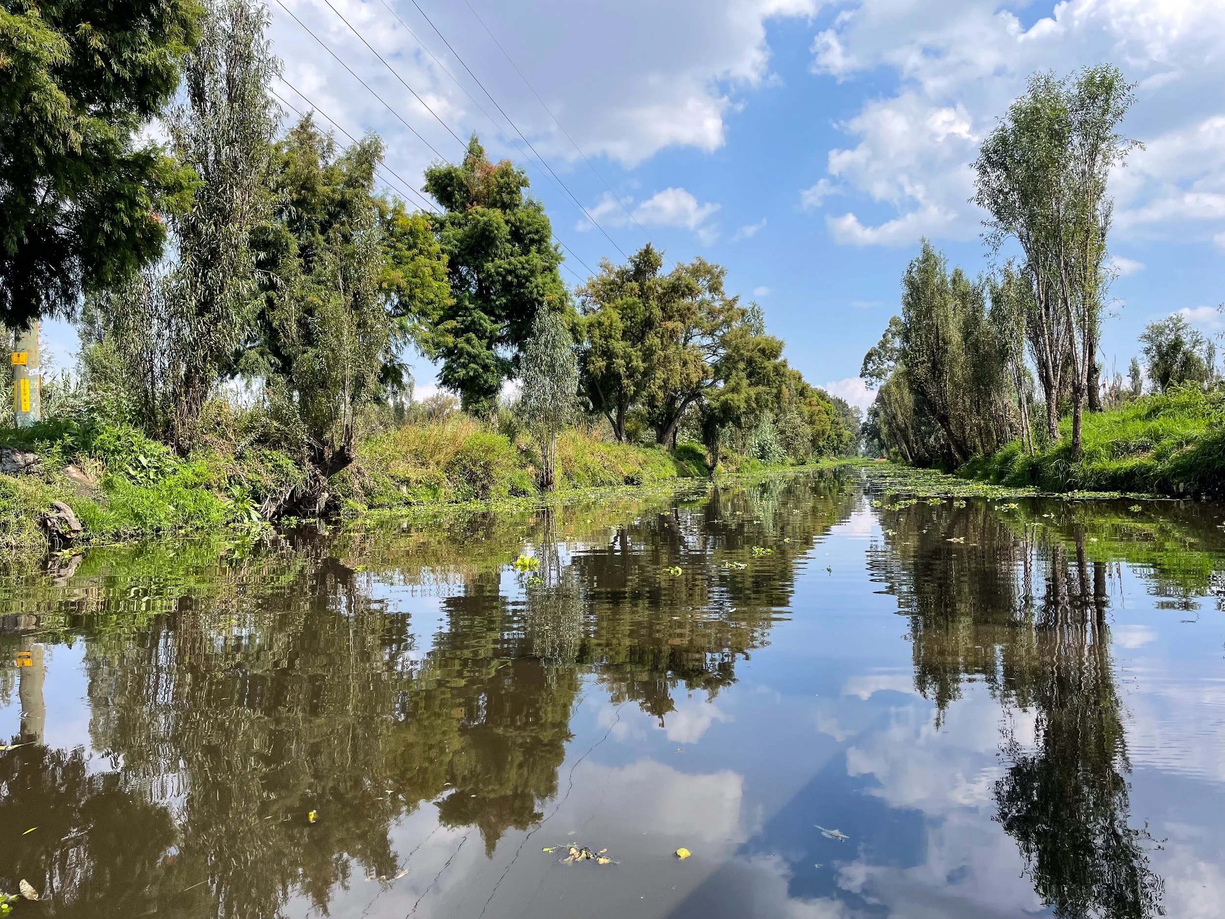Xochimilco_07.jpg