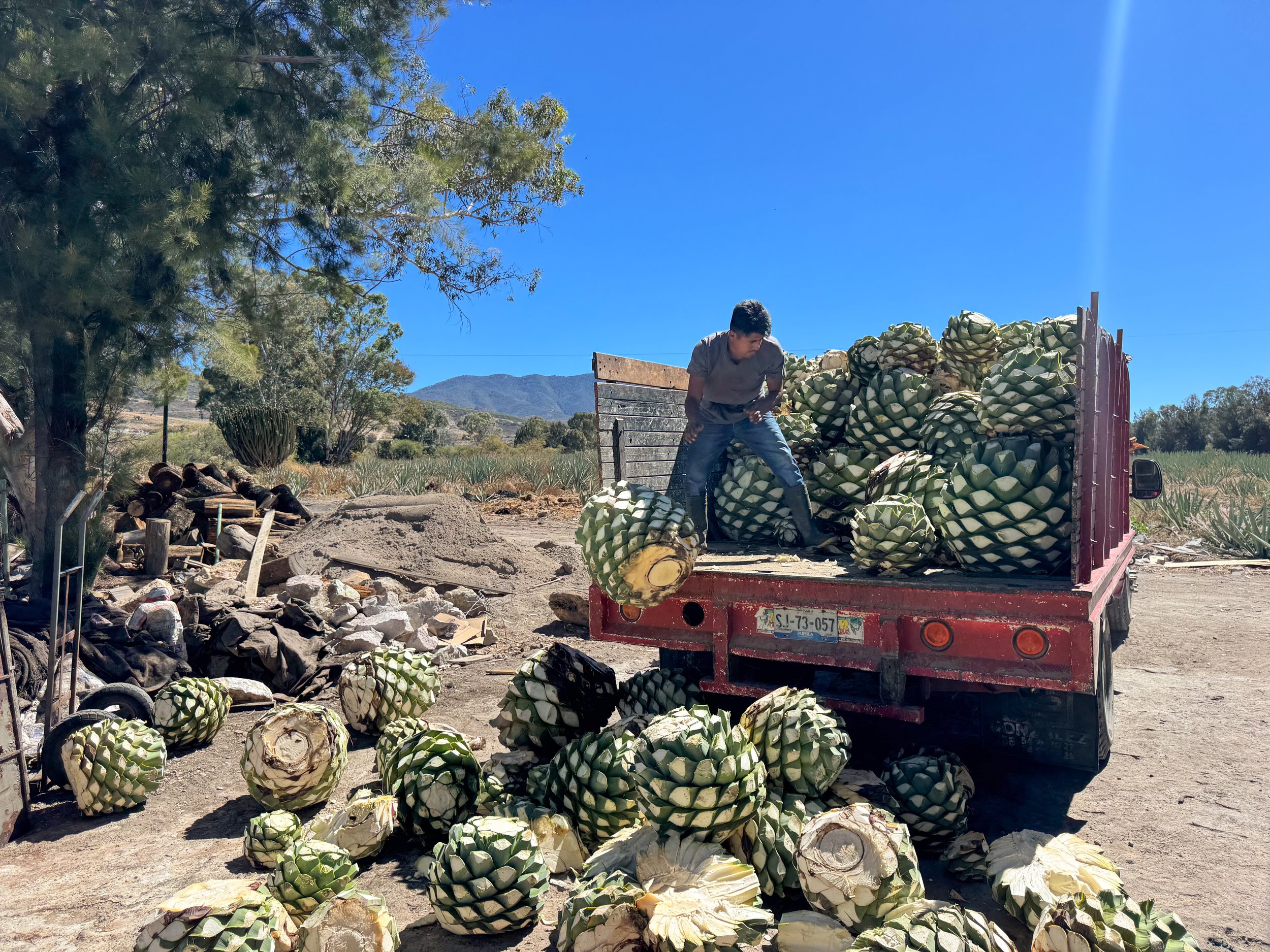 Oaxaca_ Mezcal_Tour_02.jpg