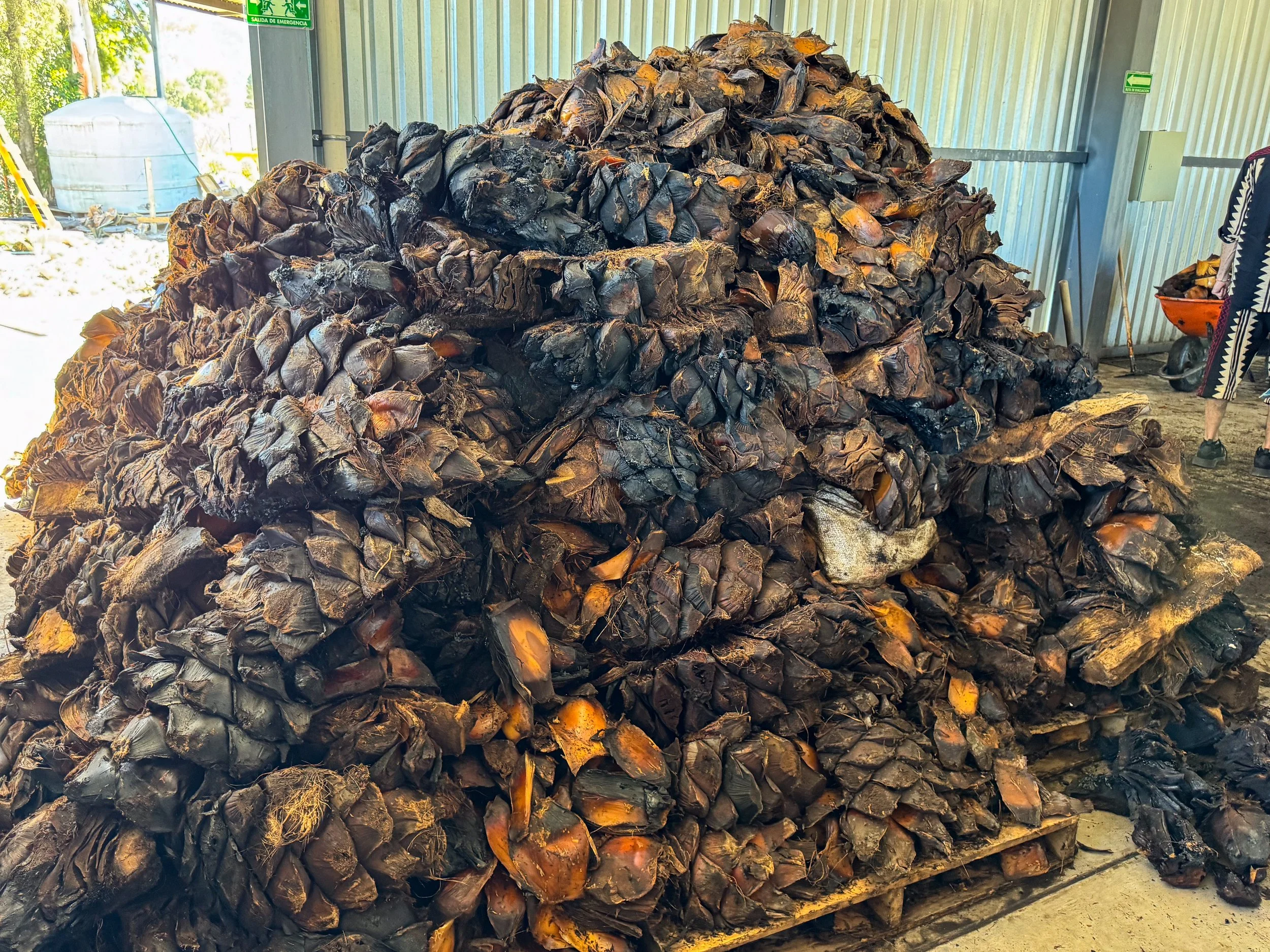 Oaxaca_ Mezcal_Tour_04.jpg