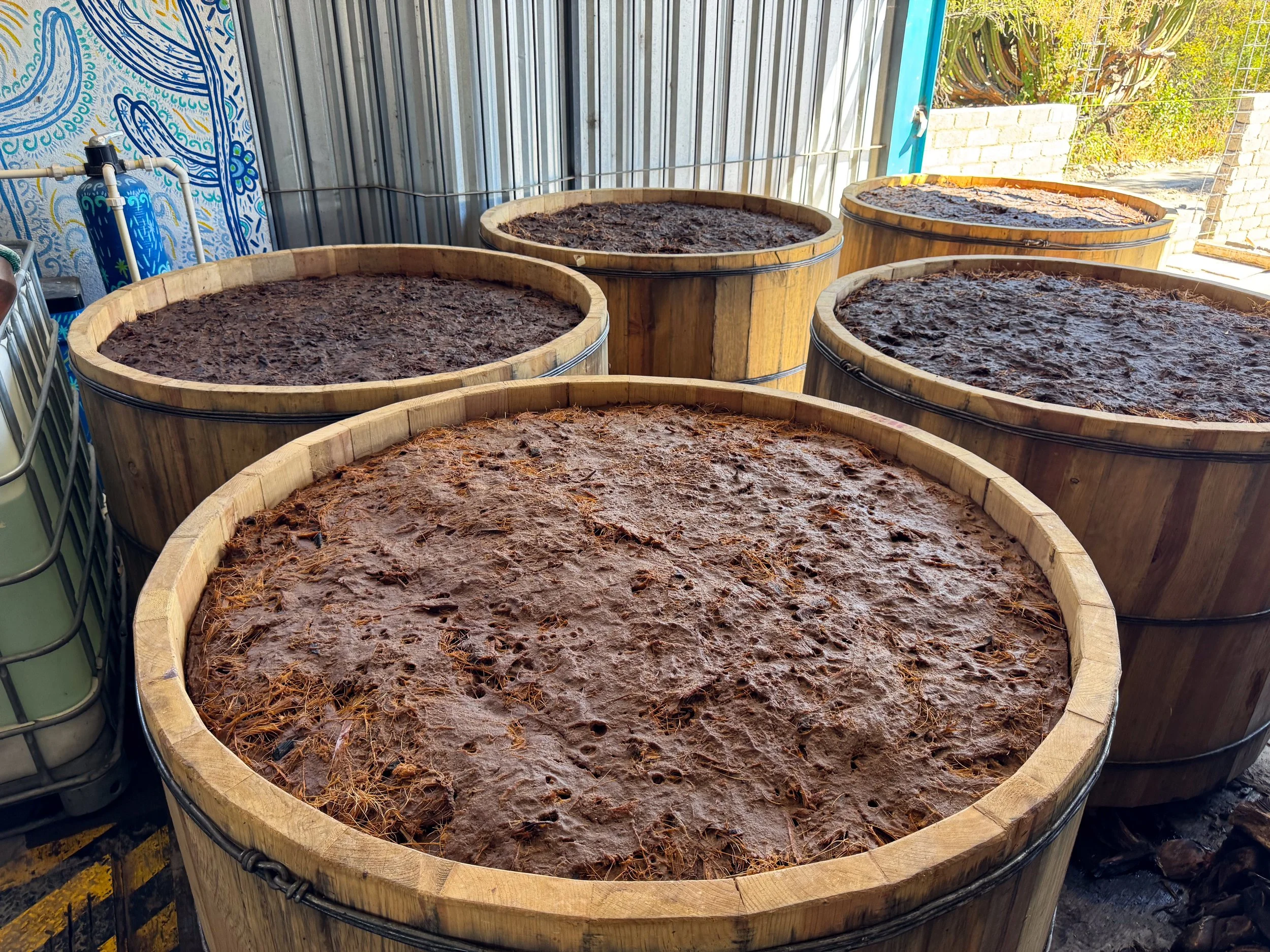 Oaxaca_ Mezcal_Tour_06.jpg