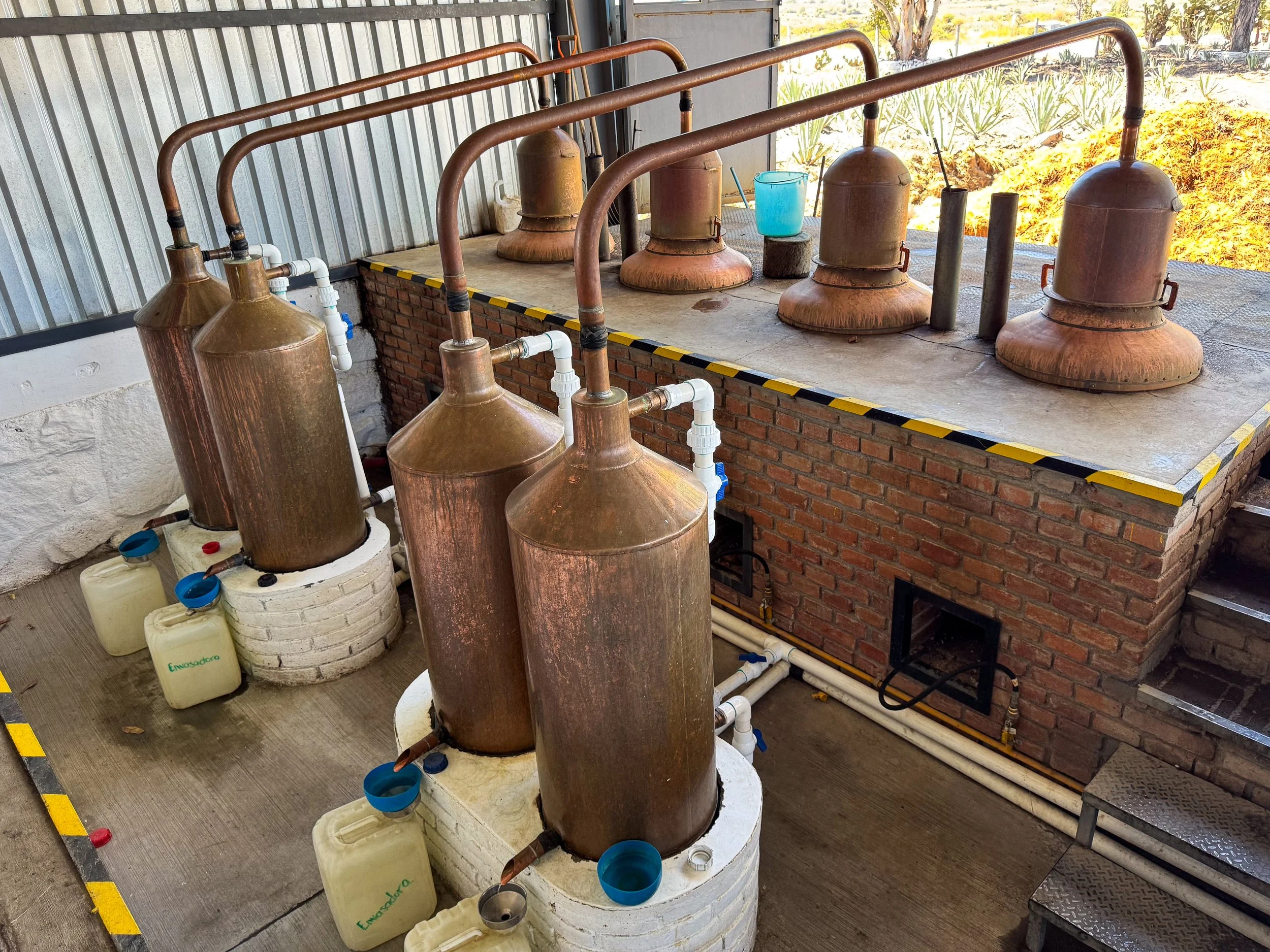 Oaxaca_ Mezcal_Tour_08.jpg