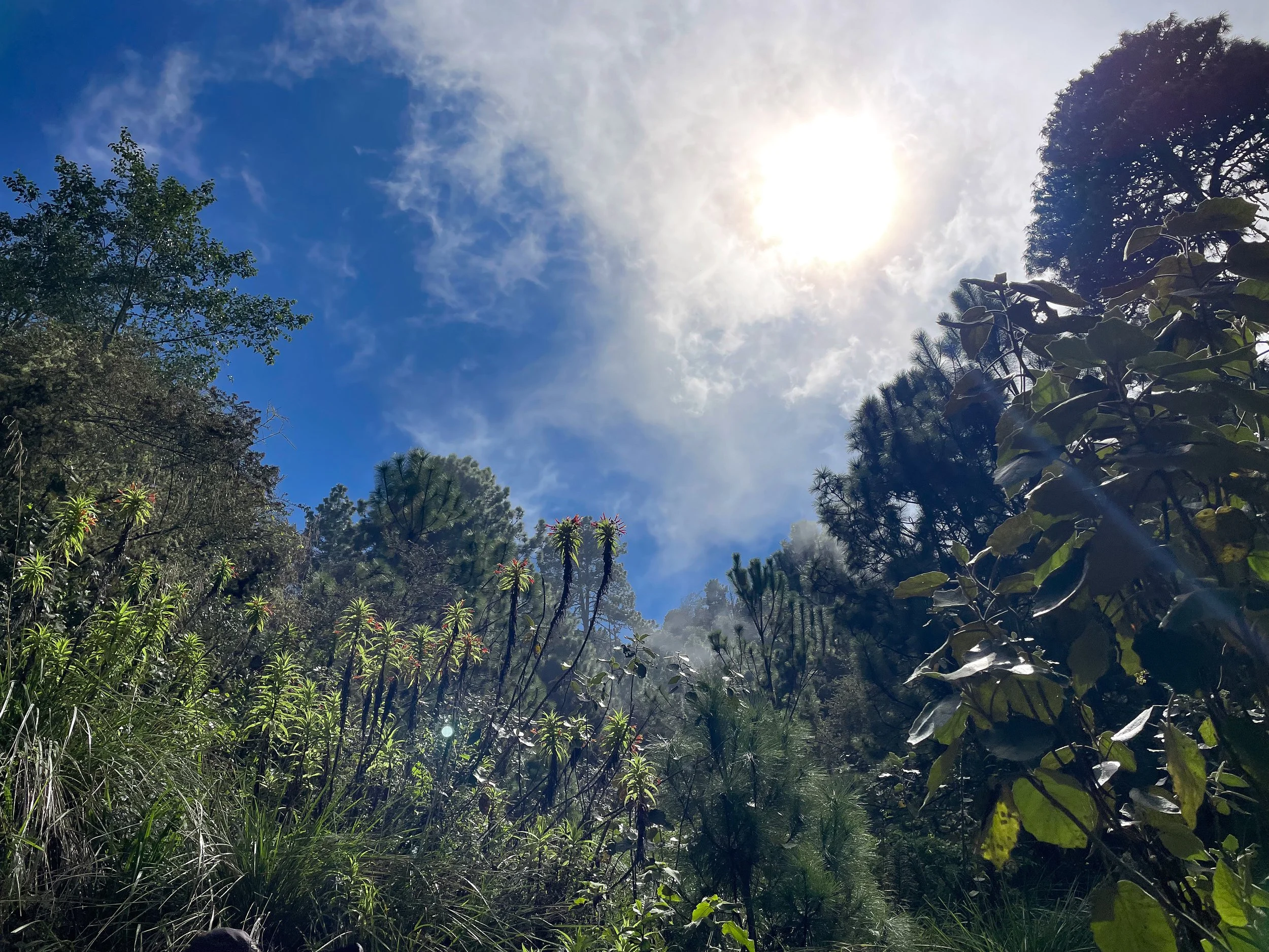 Volcan_de_ Acatenango_03.jpg
