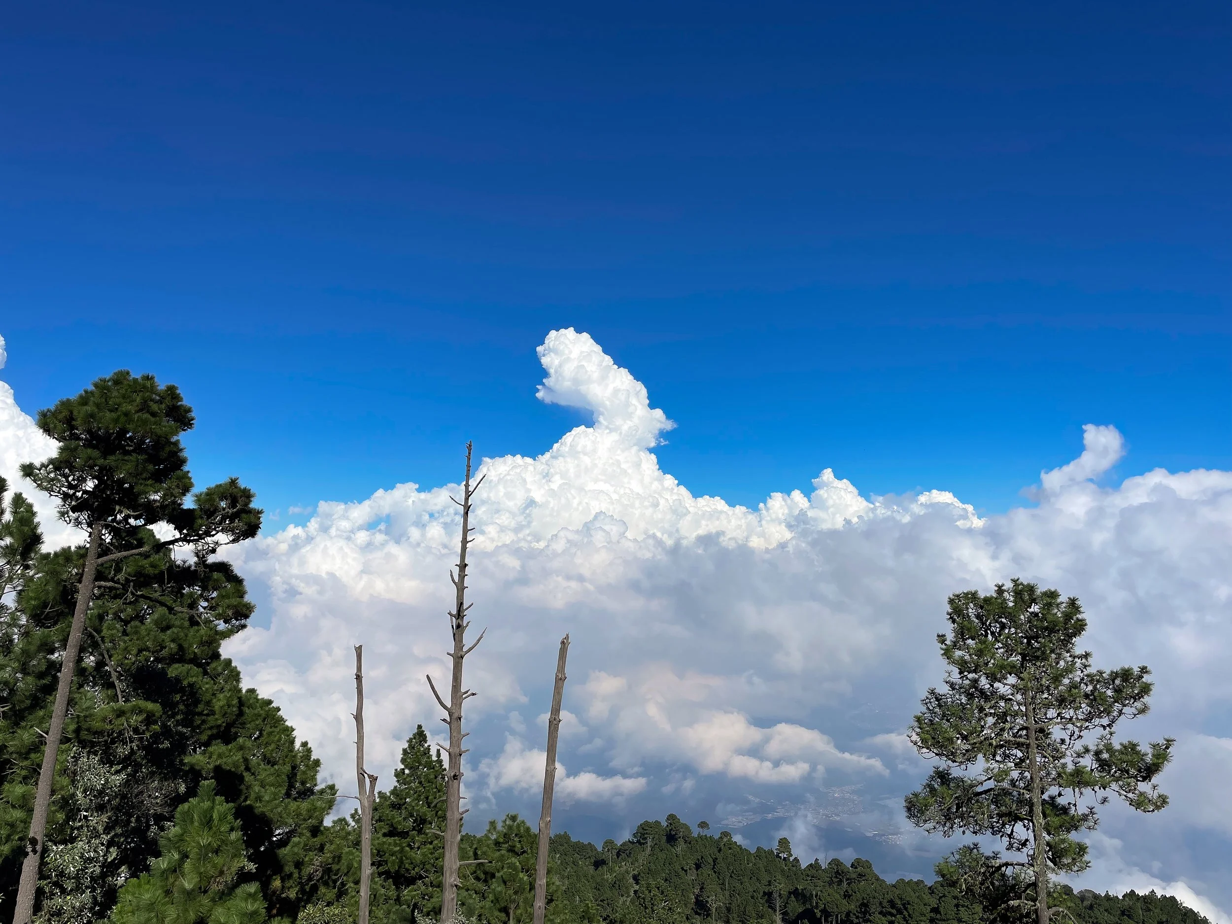Volcan_de_ Acatenango_07.jpg