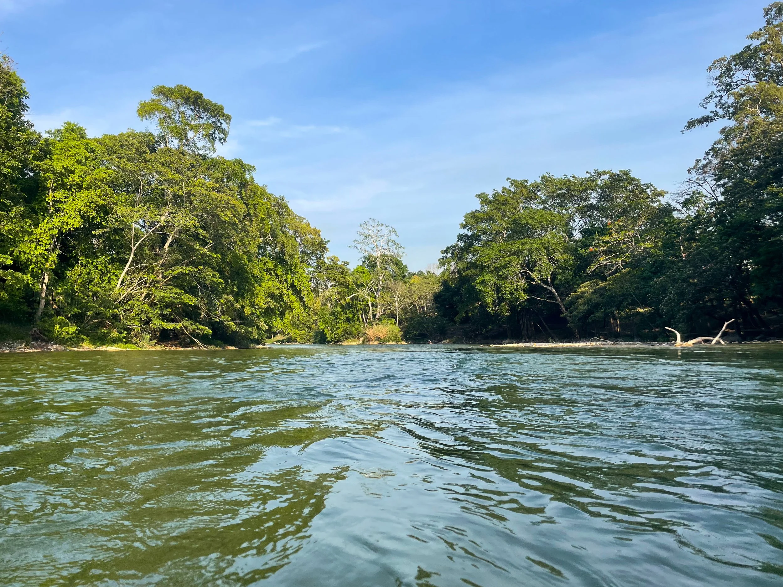 The_Mopan_River_03.jpg