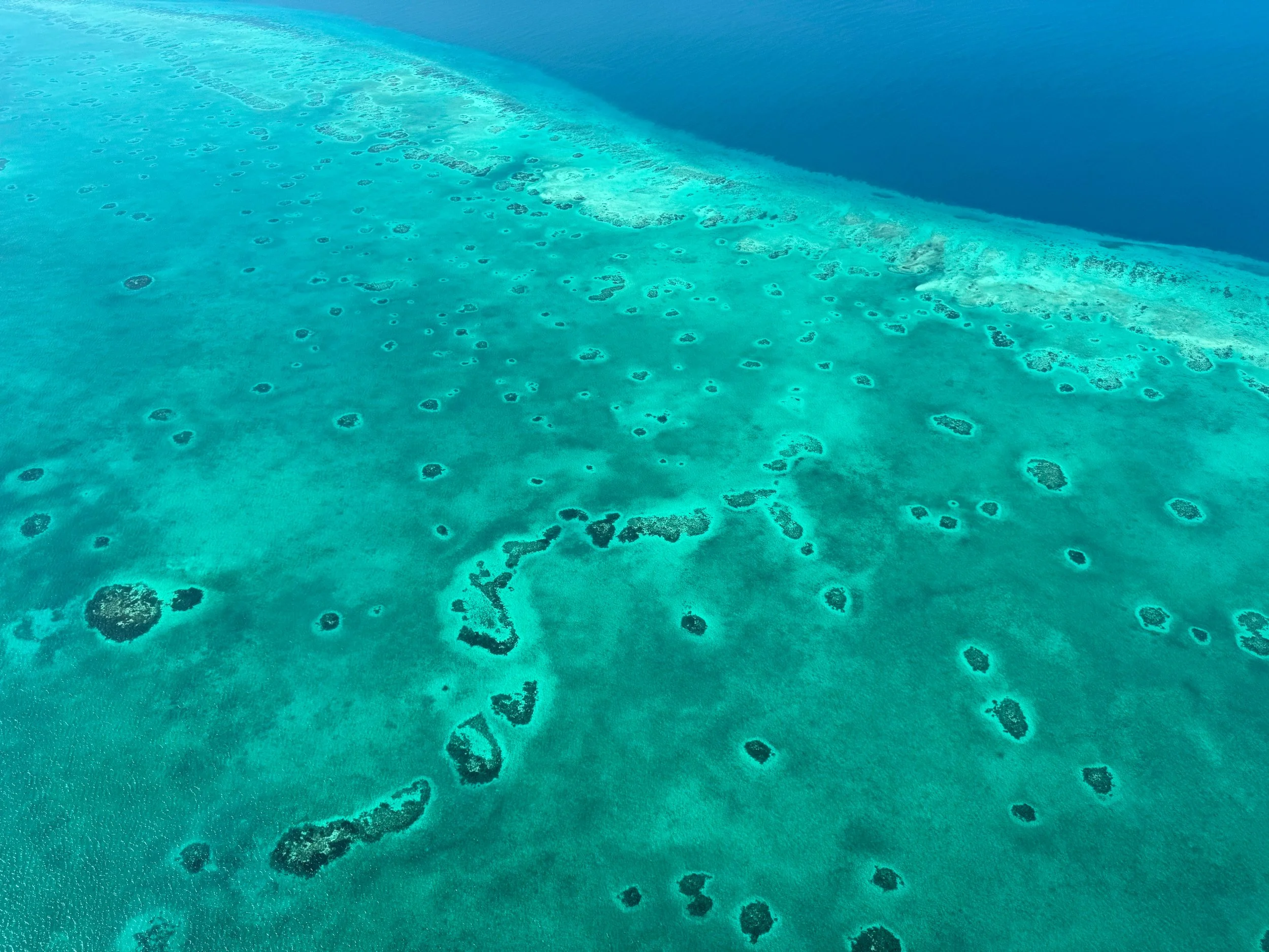 The_Belize_Barrier_Reef_01.jpg