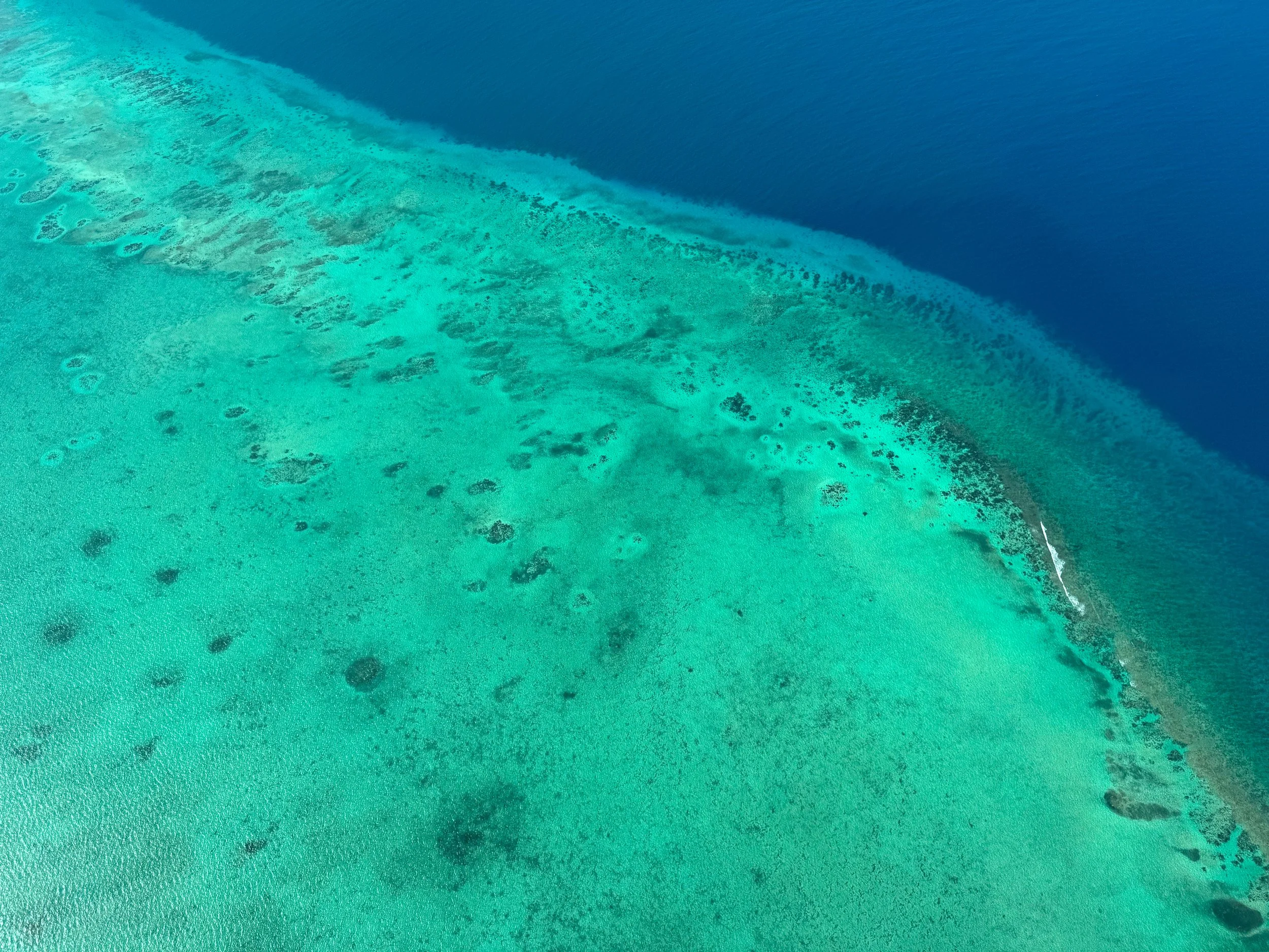 The_Belize_Barrier_Reef_02.jpg