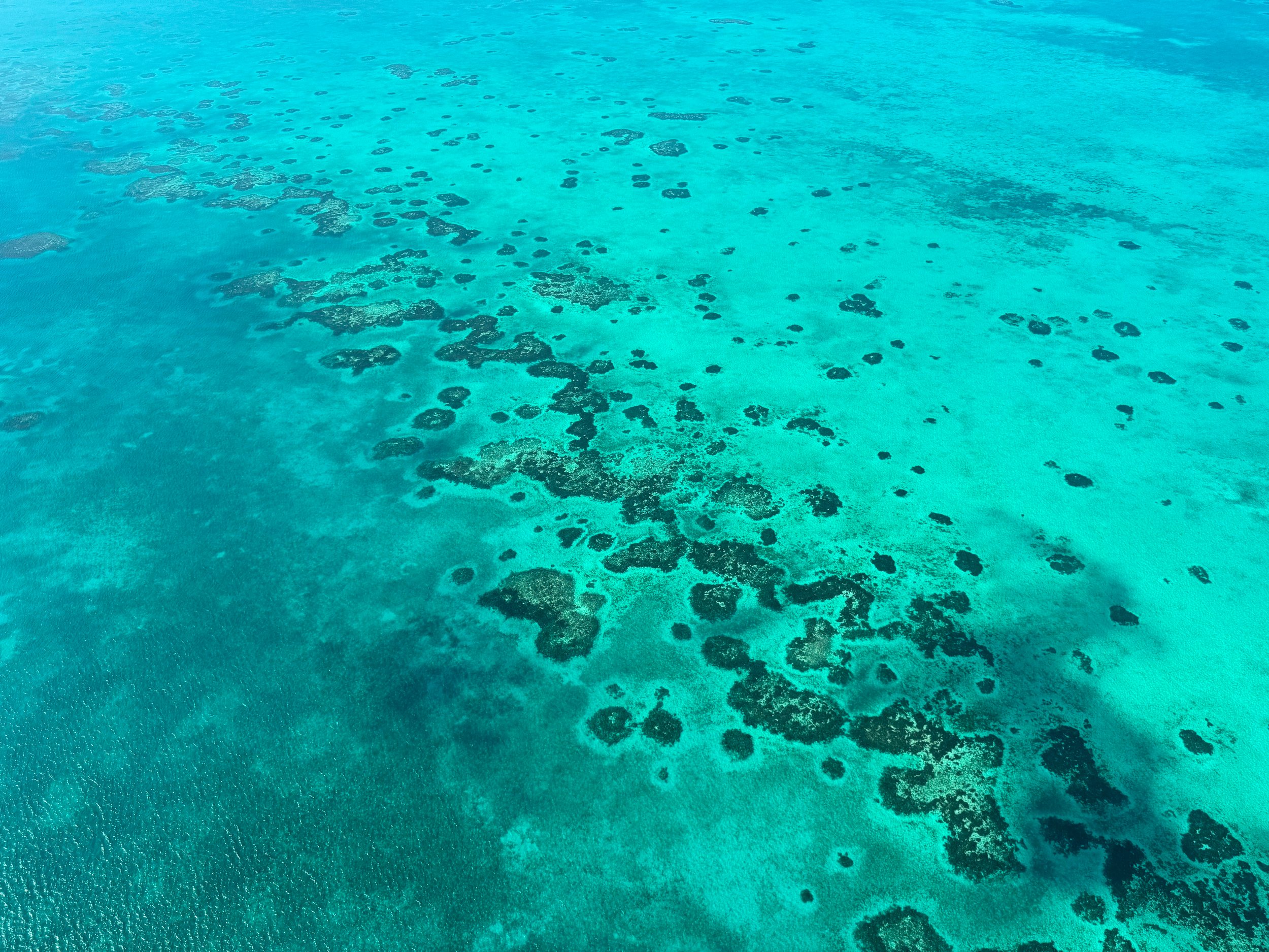 The_Belize_Barrier_Reef_03.jpg