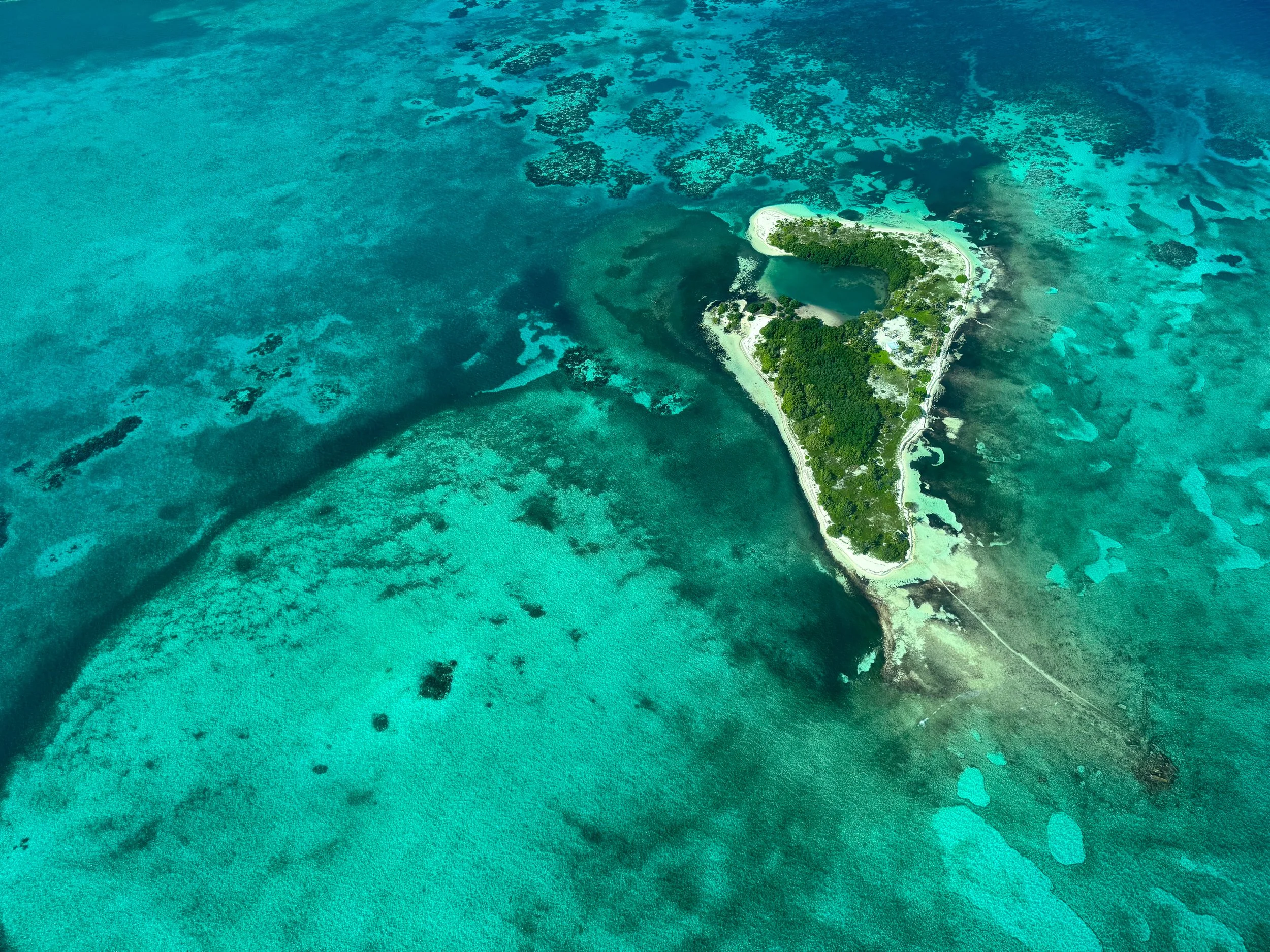 The_Belize_Barrier_Reef_06.jpg