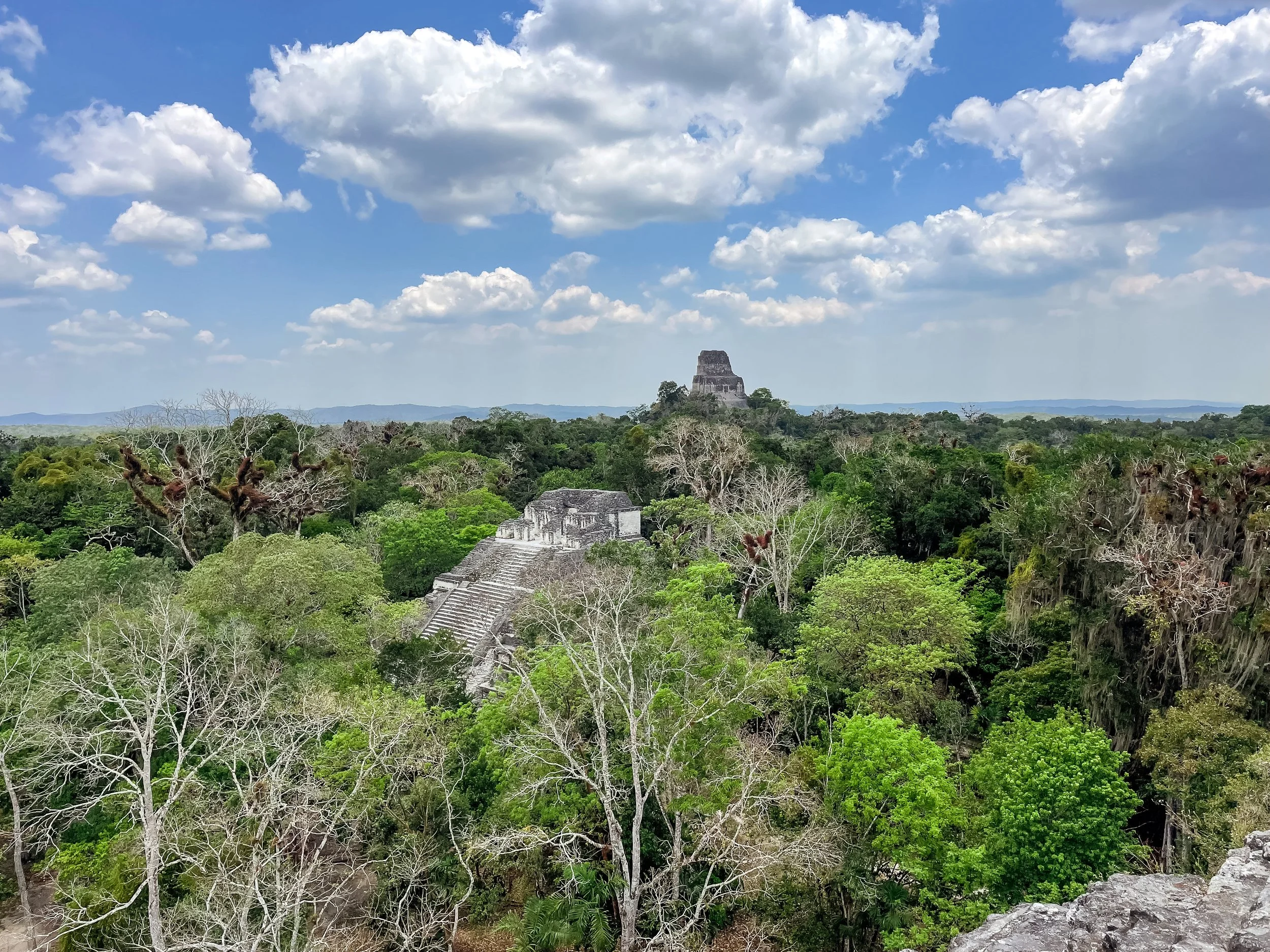 Tikal_Guatemala_04.jpg