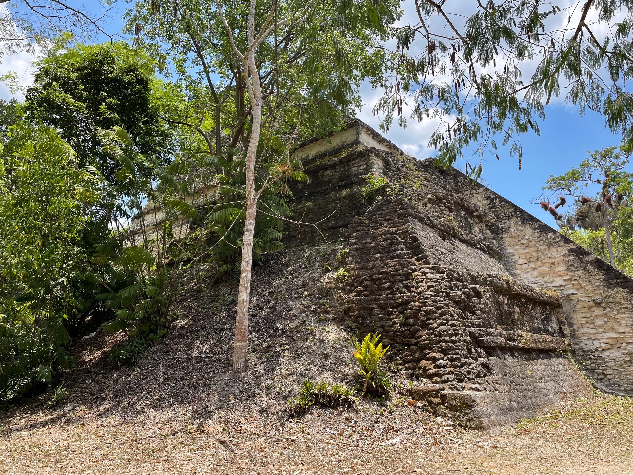 Tikal_Guatemala_06.jpg