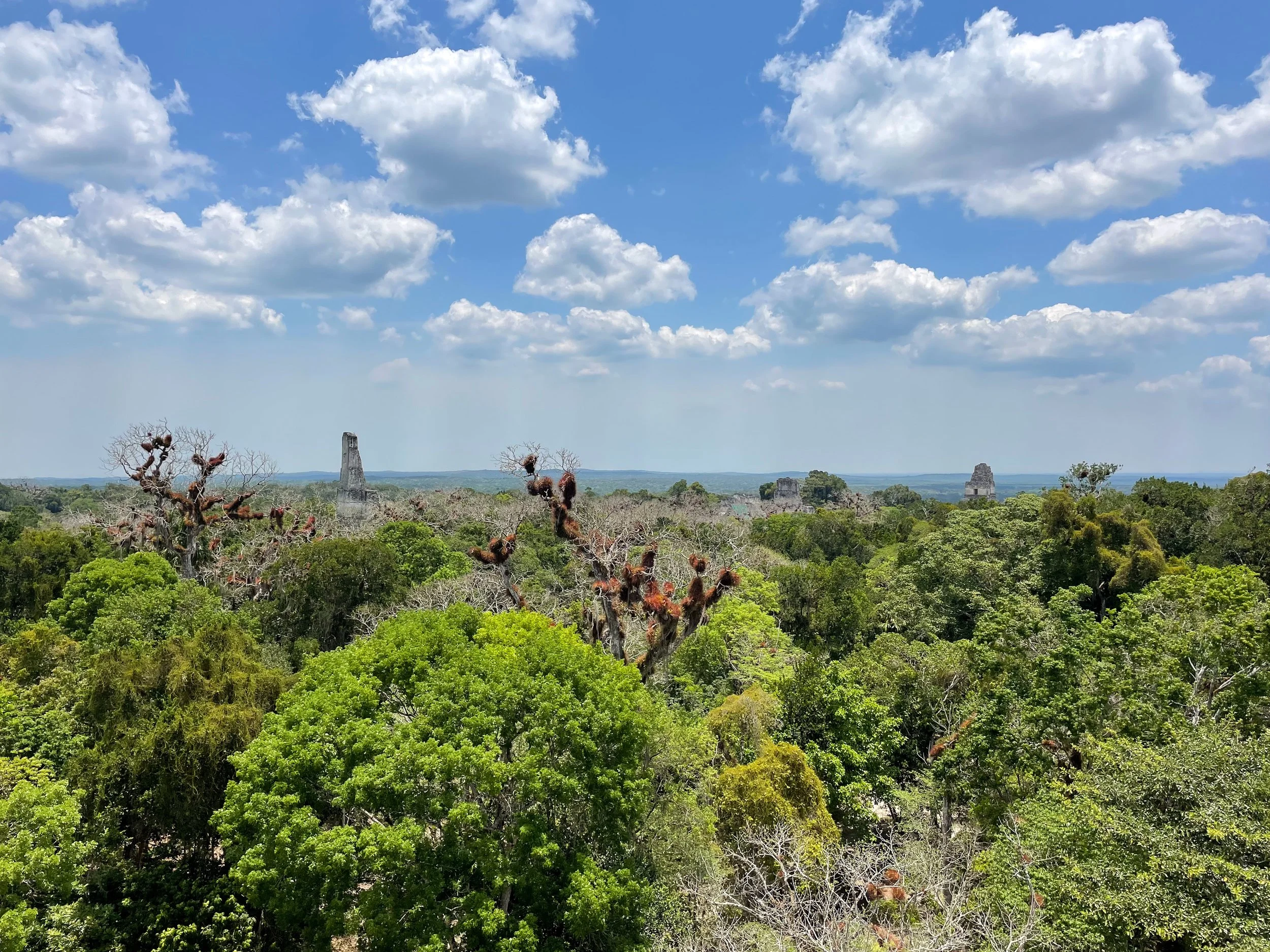 Tikal_Guatemala_10.jpg