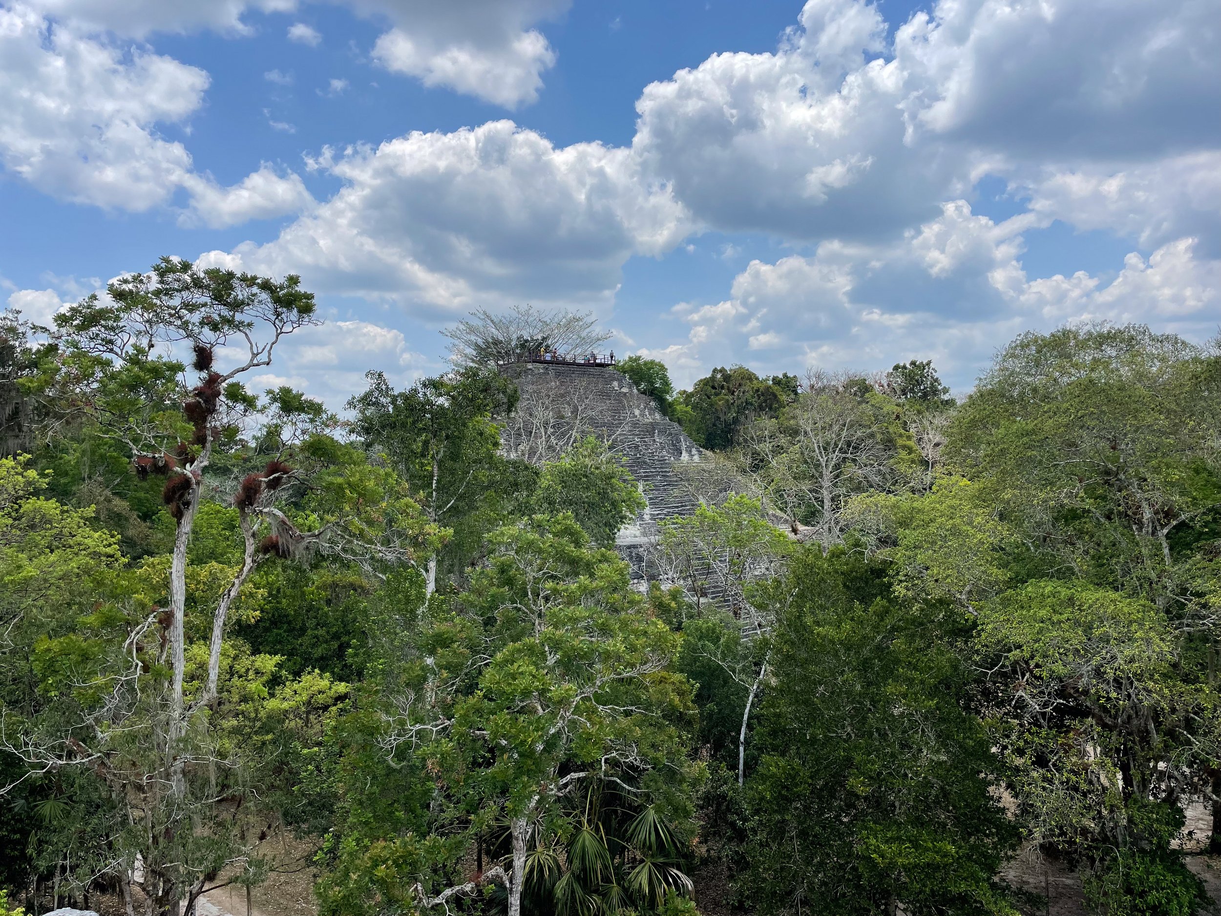 Tikal_Guatemala_09.jpg