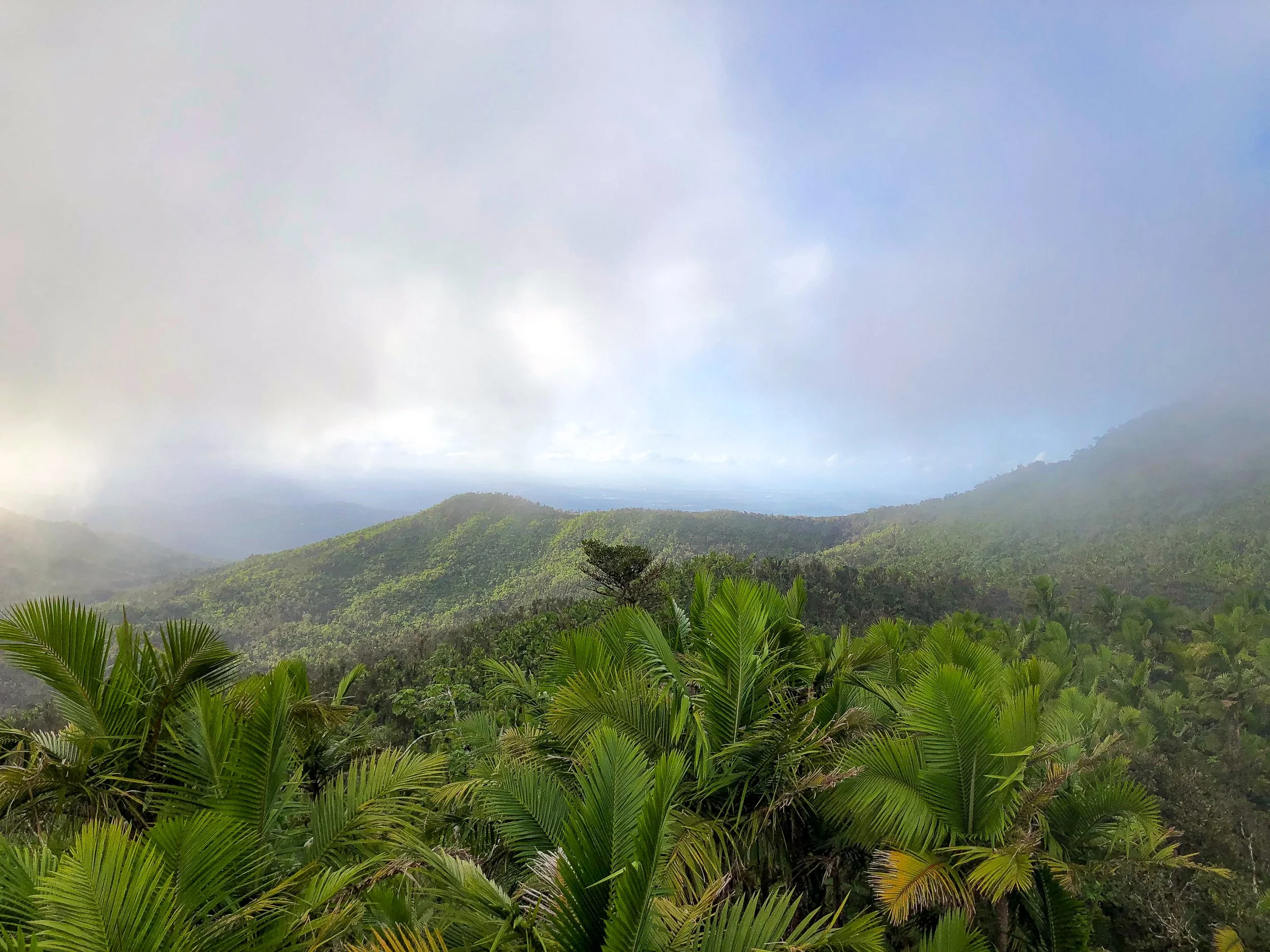 El_Yunque_13.jpg