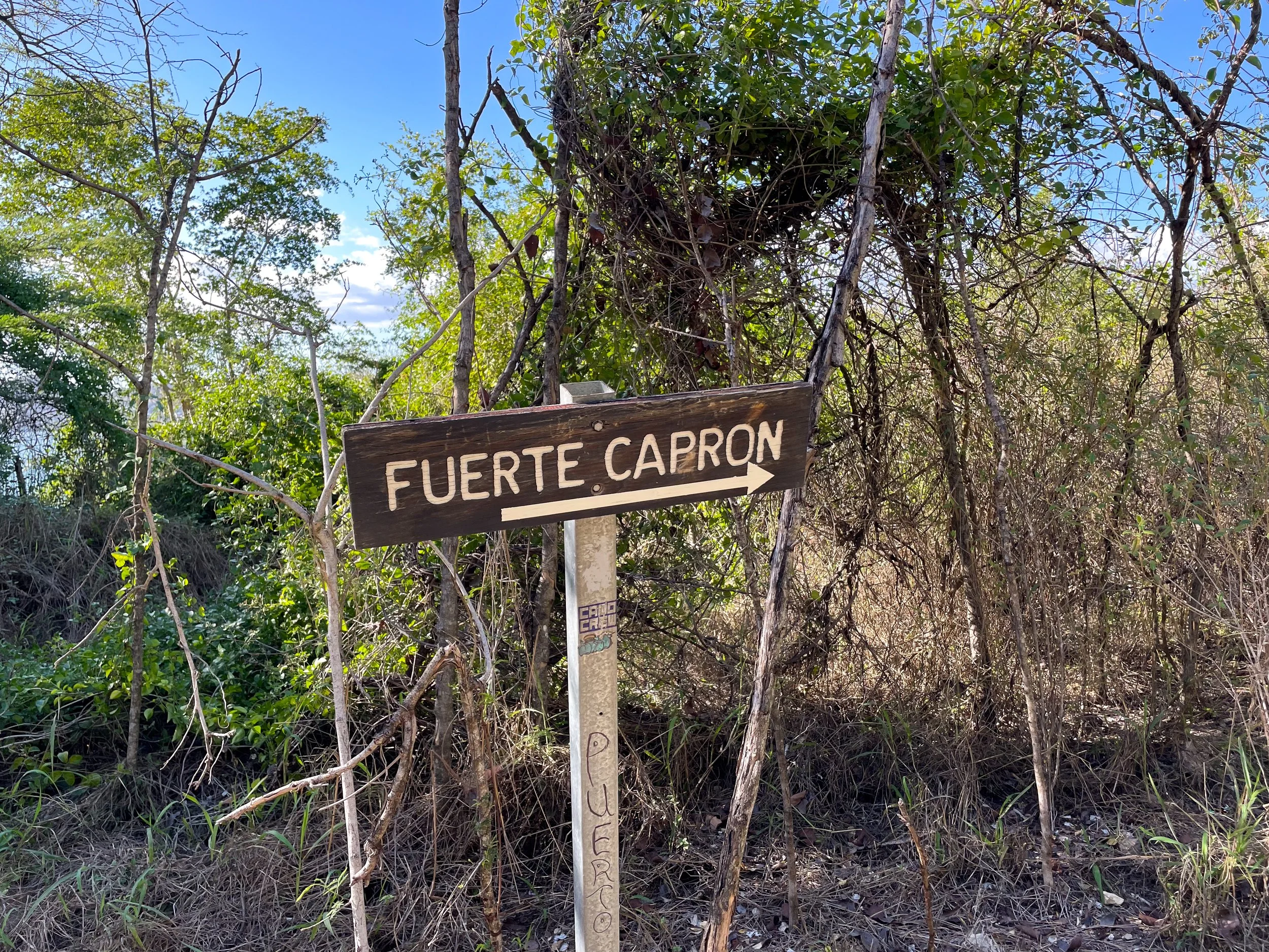 Guanica_State_Forest_03.jpg