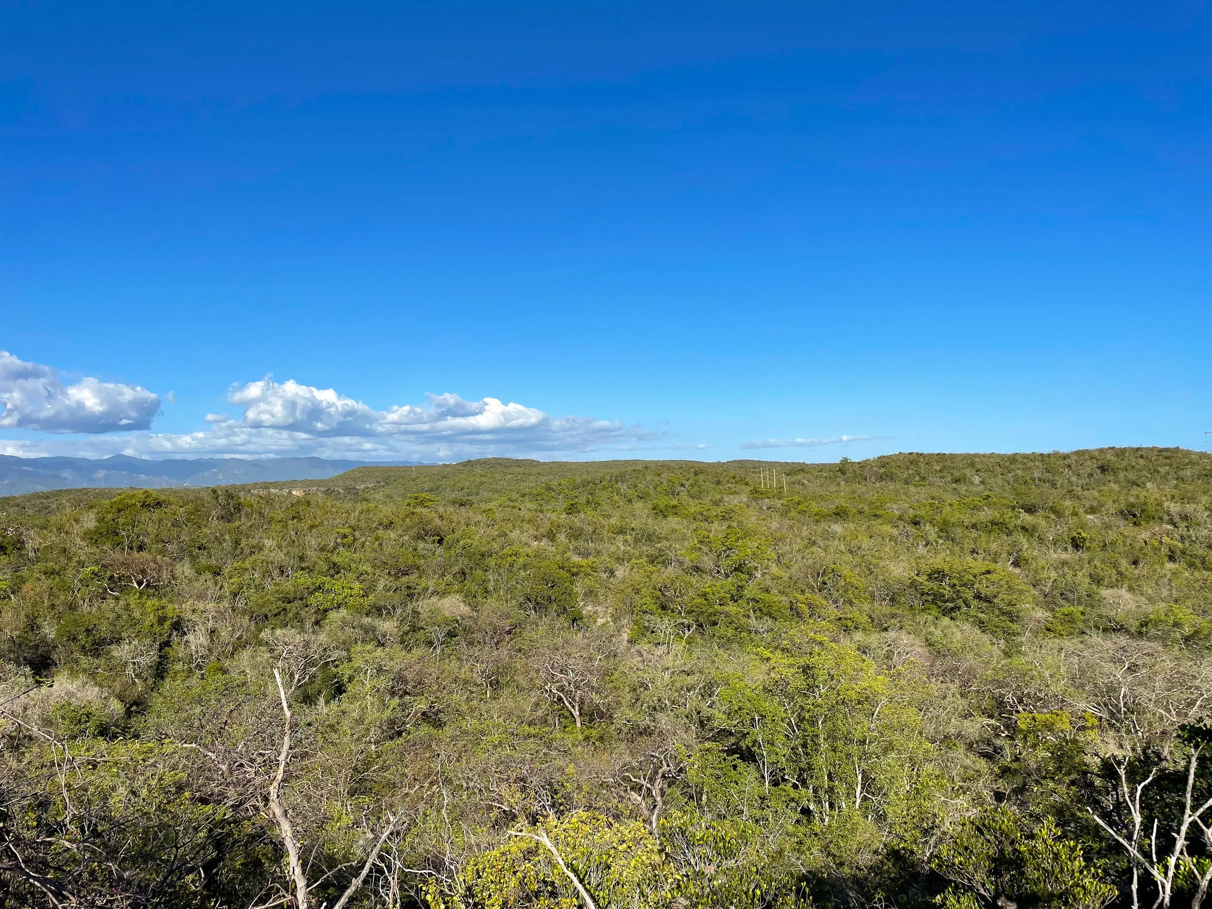 Guanica_State_Forest_05.jpg