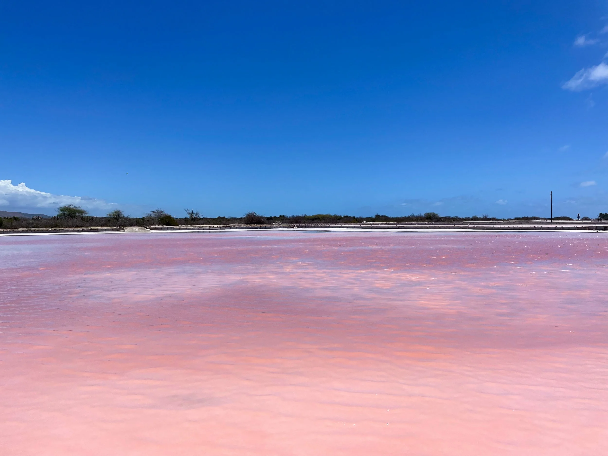 Cabo_Rojo_Salt_Flats_03.jpg
