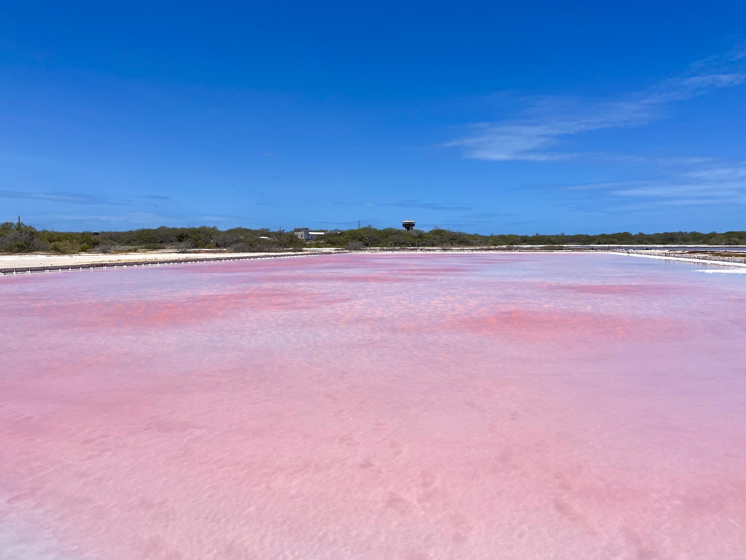 Cabo_Rojo_Salt_Flats_04.jpg