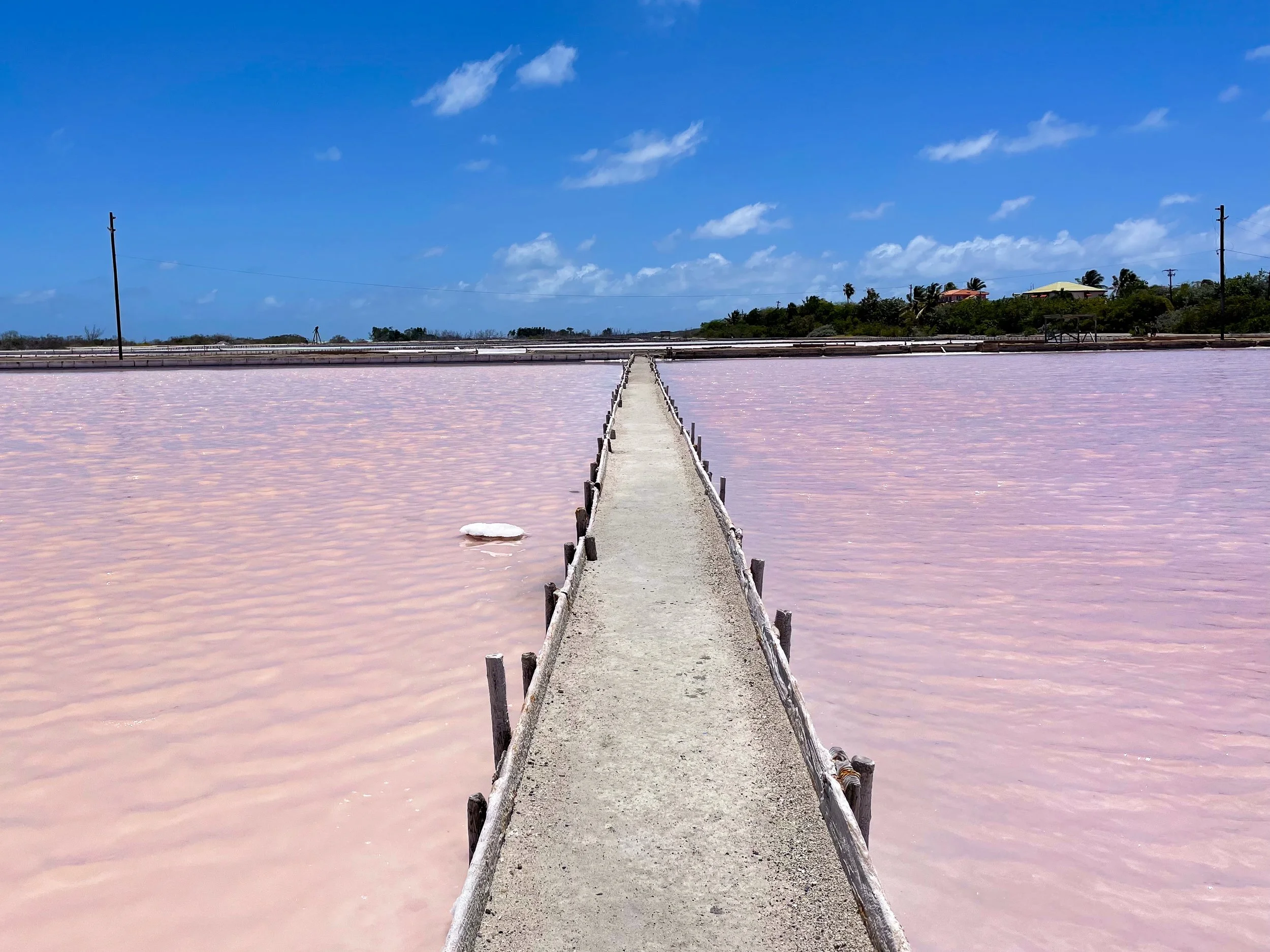 Cabo_Rojo_Salt_Flats_06.jpg