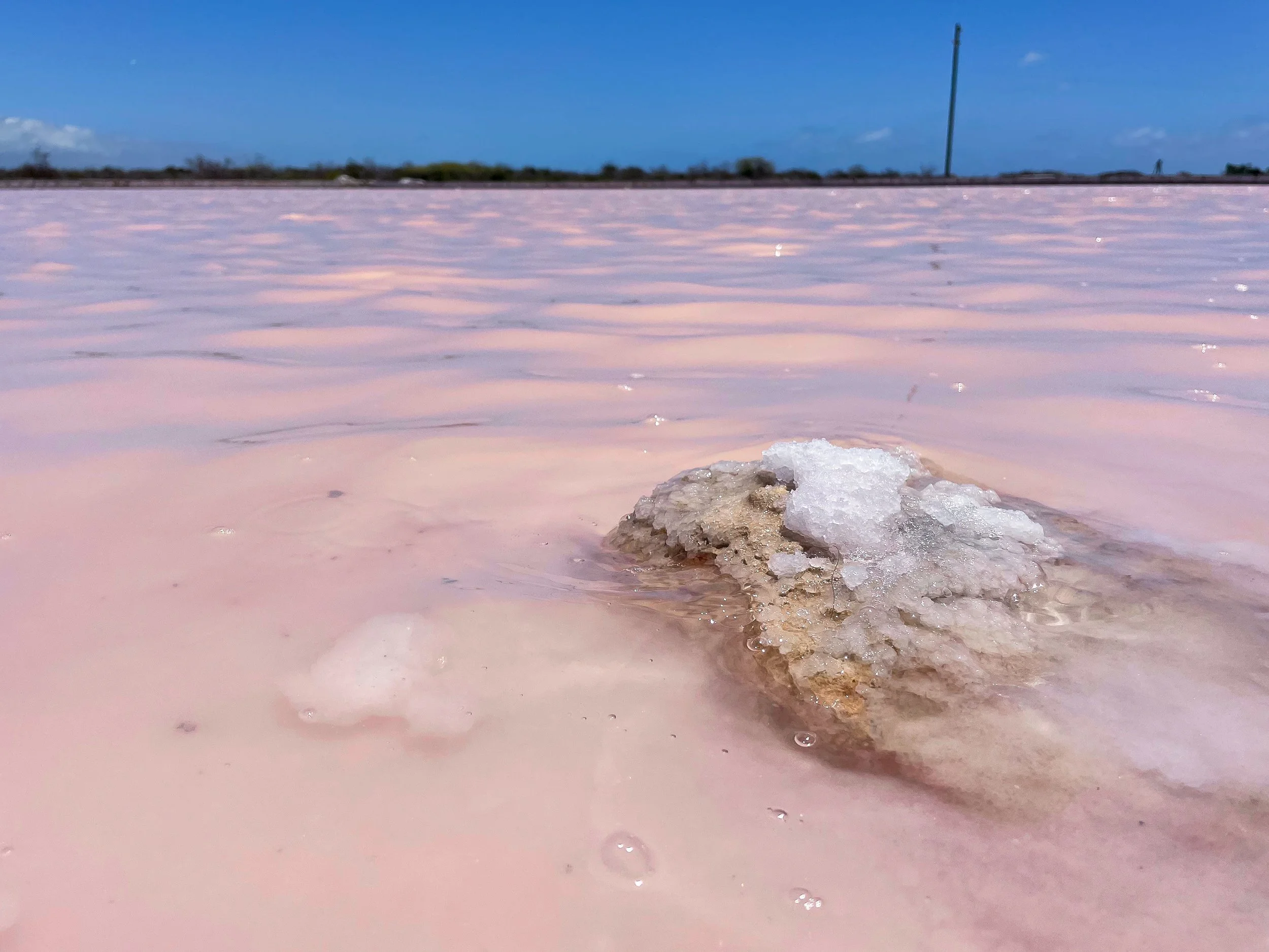 Cabo_Rojo_Salt_Flats_07.jpg