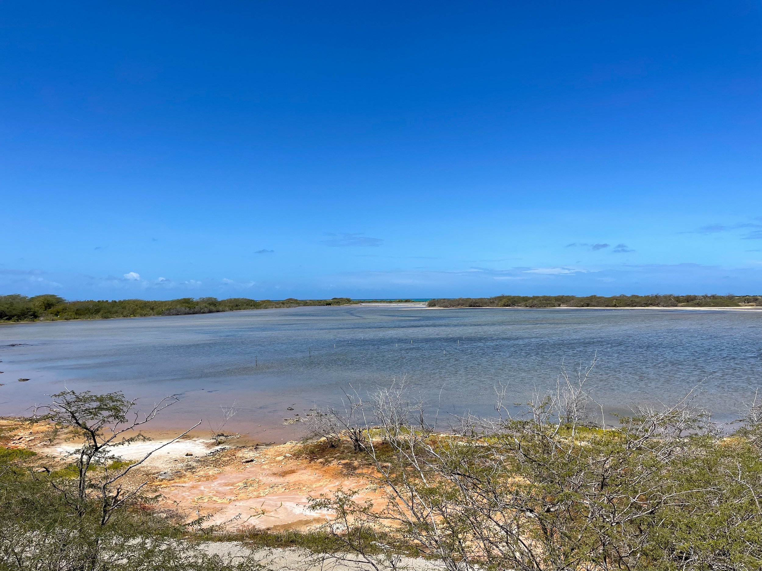 Cabo_Rojo_Salt_Flats_14.jpg