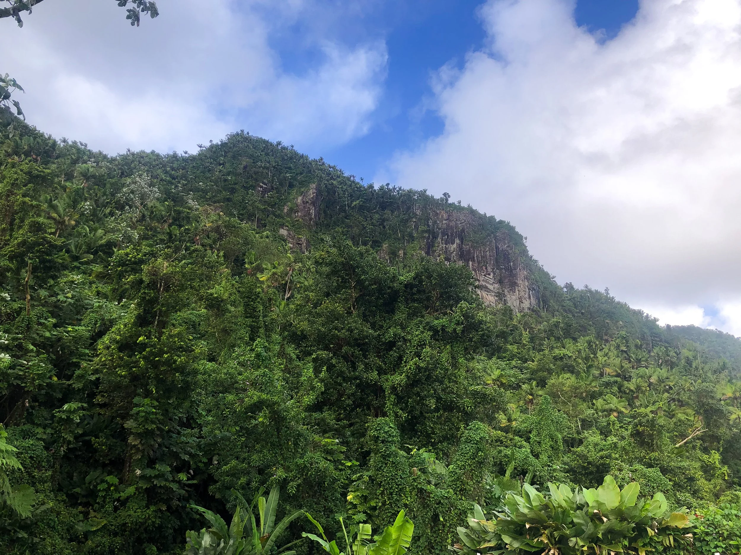 El_Yunque_01.jpg