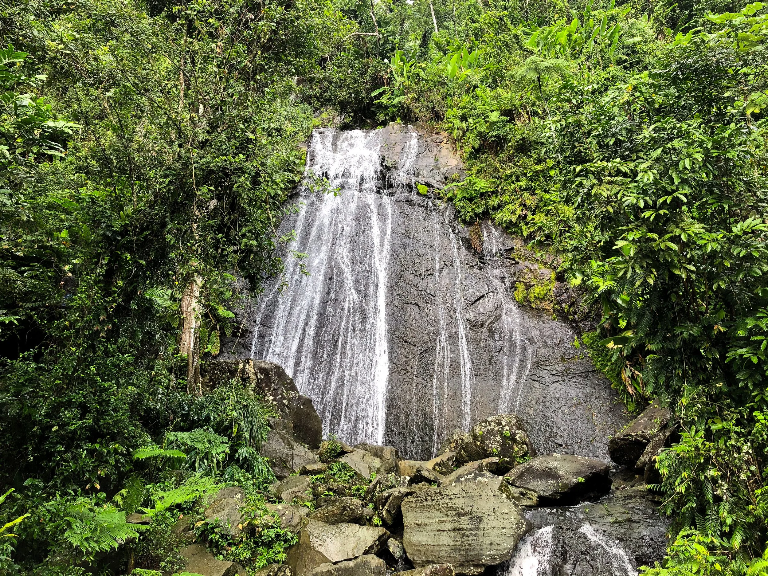 El_Yunque_04.jpg