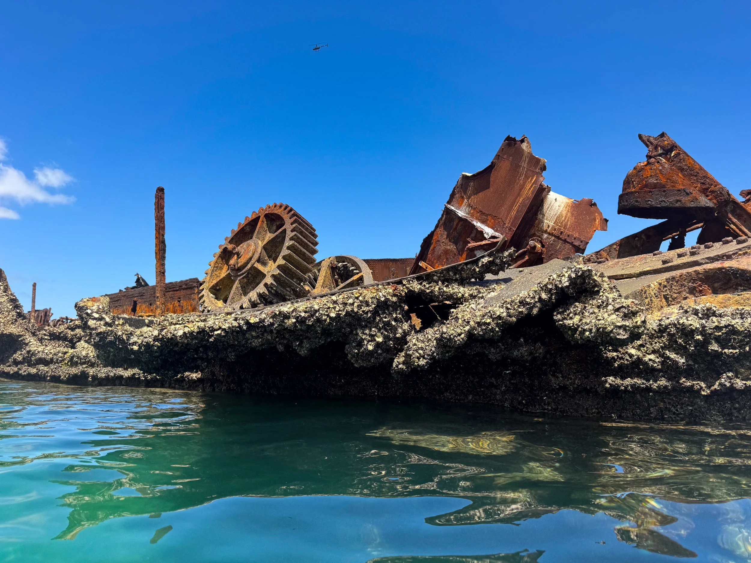 Tangalooma_Wrecks_01.jpg